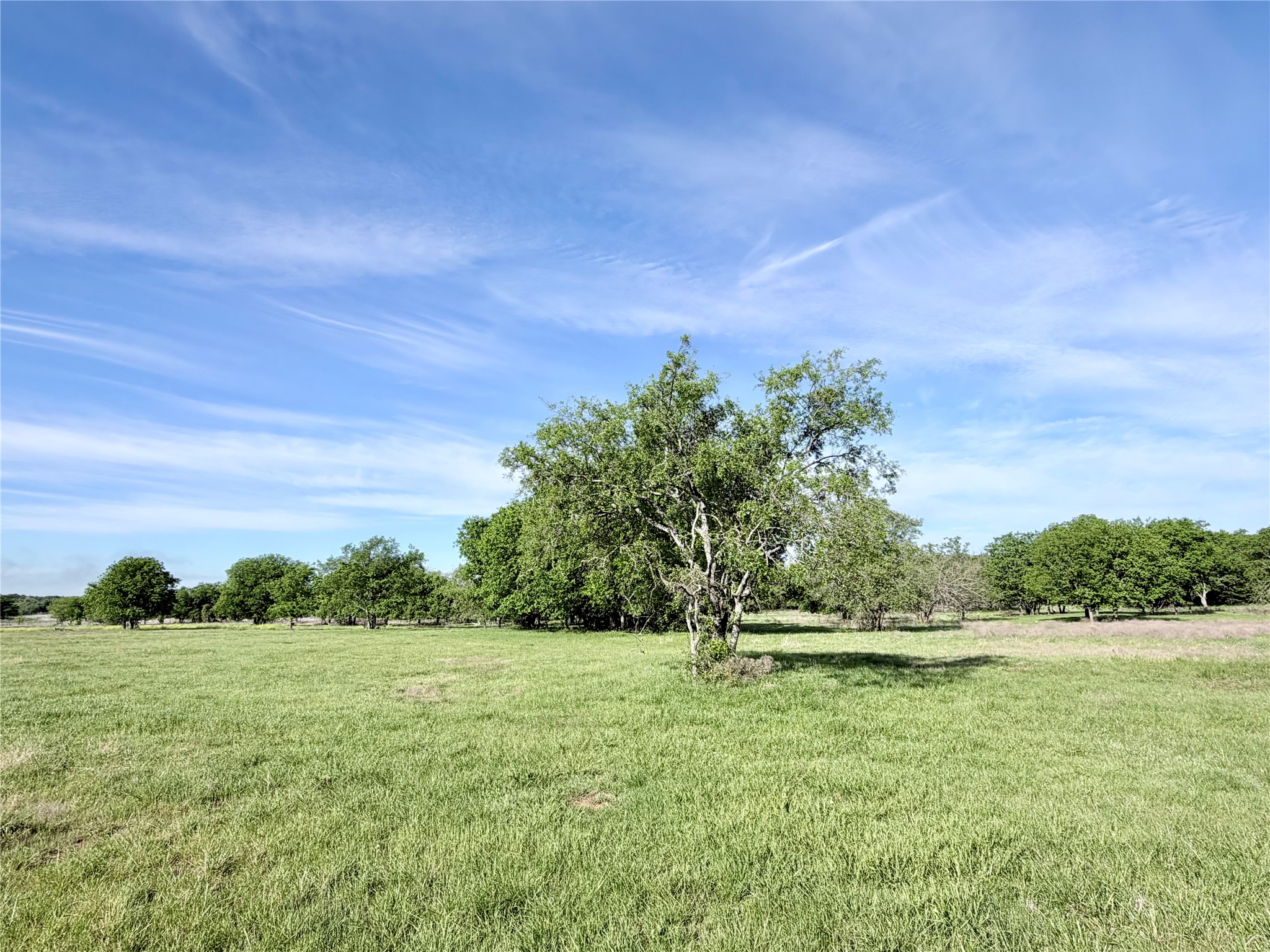Lot 15 Lakewood Drive Whitney TX 76692