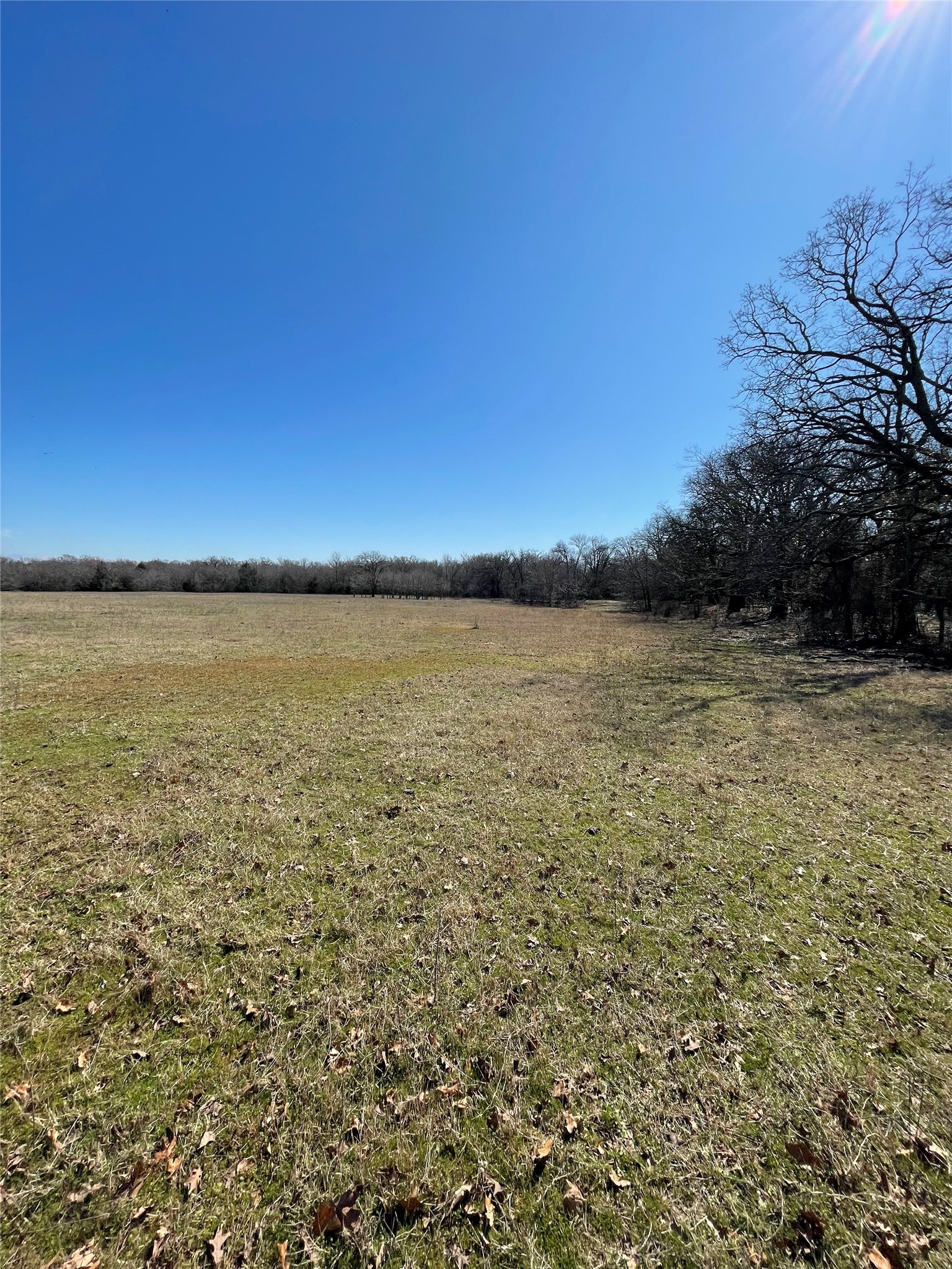 Off Killian Drive Quinlan TX 75474