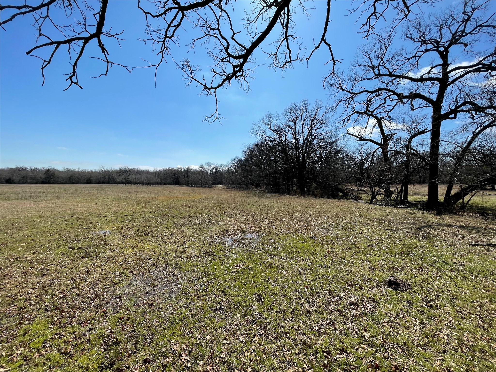 Off Killian Drive Quinlan TX 75474