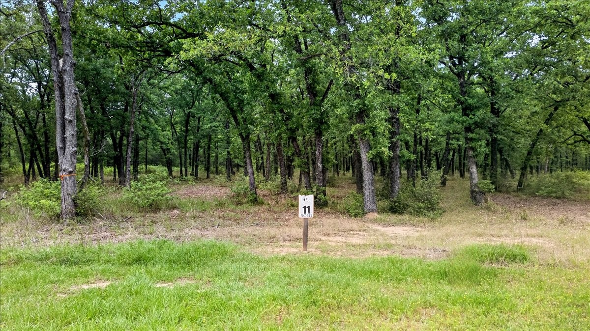 6944 Lakeshore Way Malakoff TX 75148