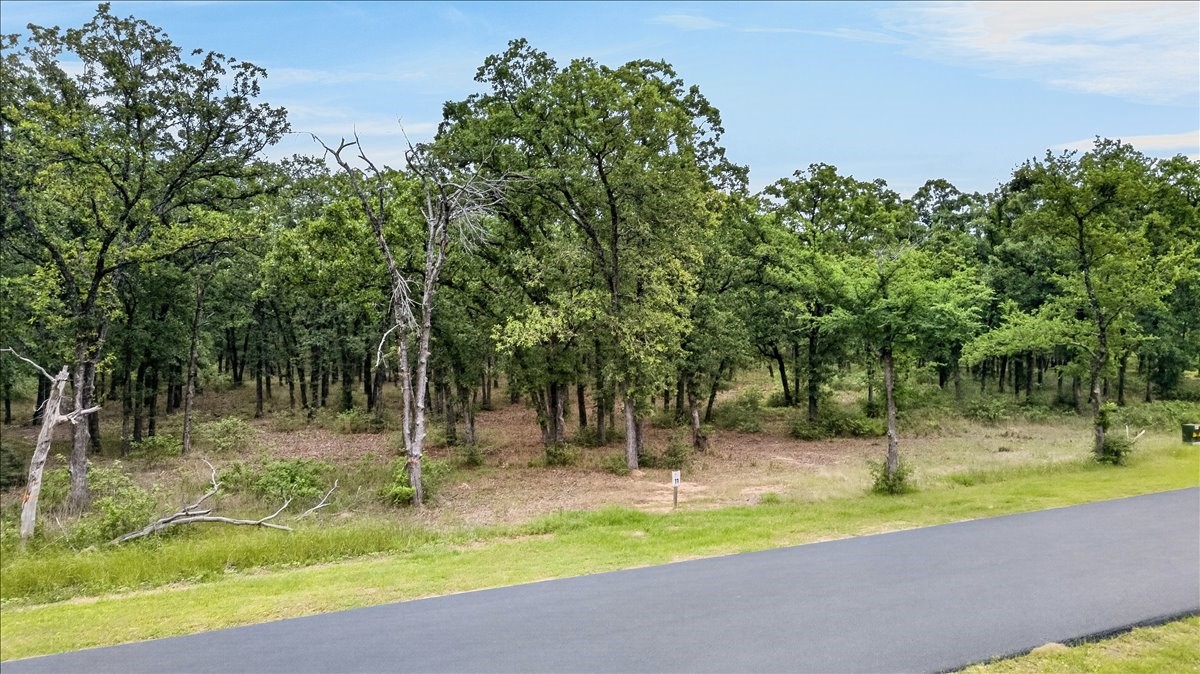 6944 Lakeshore Way Malakoff TX 75148