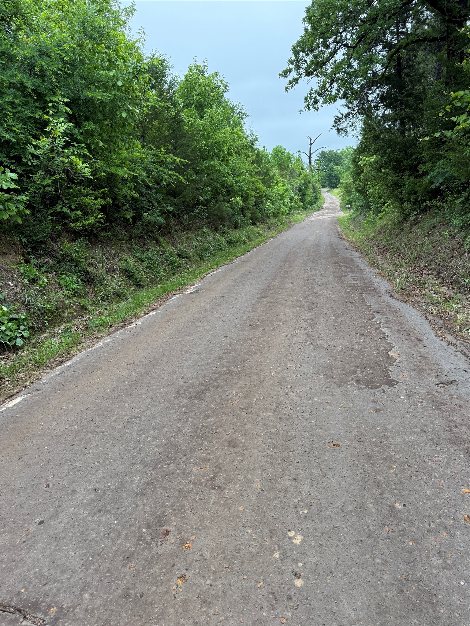 Tbd Highway 11 Linden TX 76653
