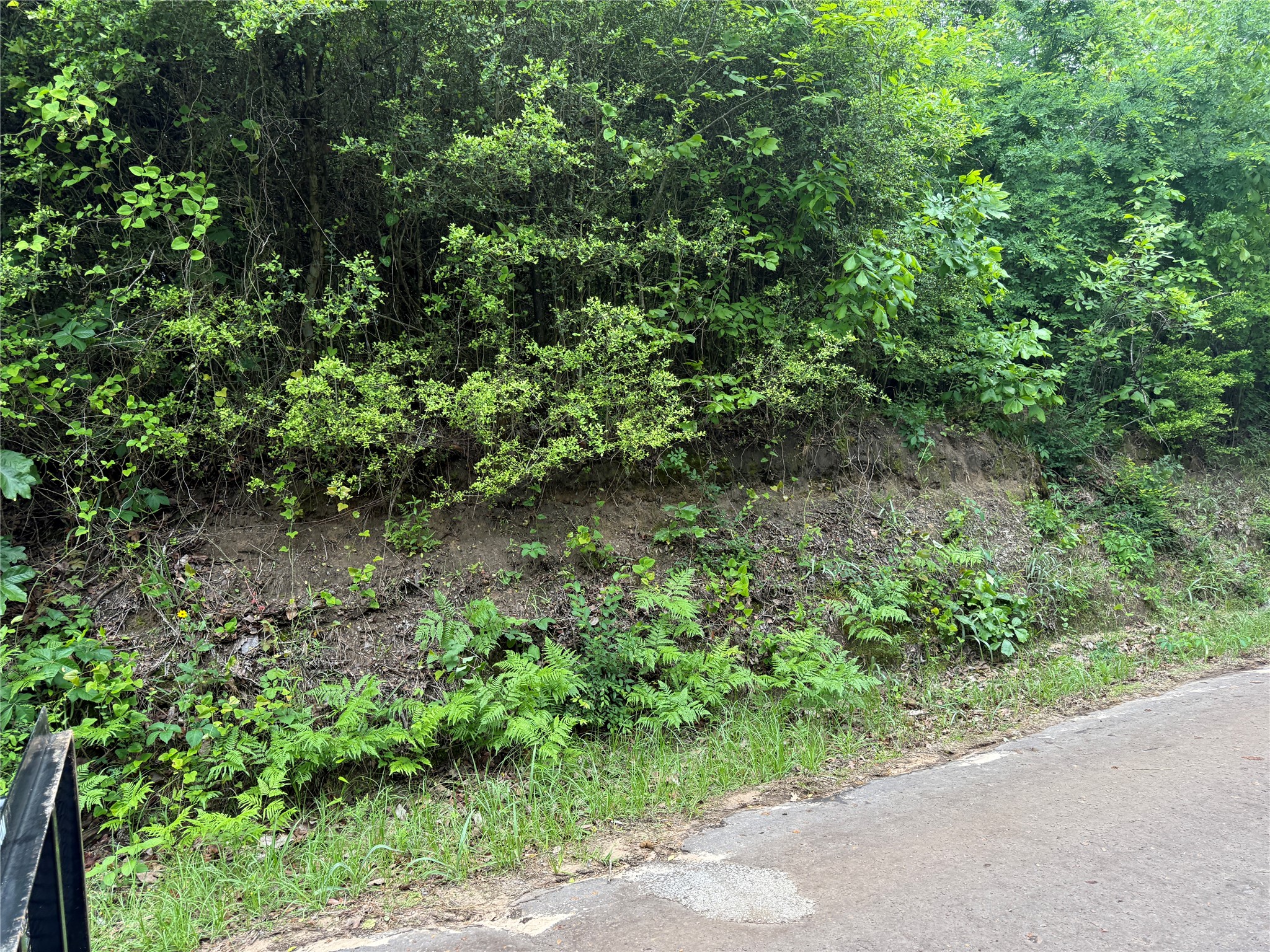 Tbd Highway 11 Linden TX 76653