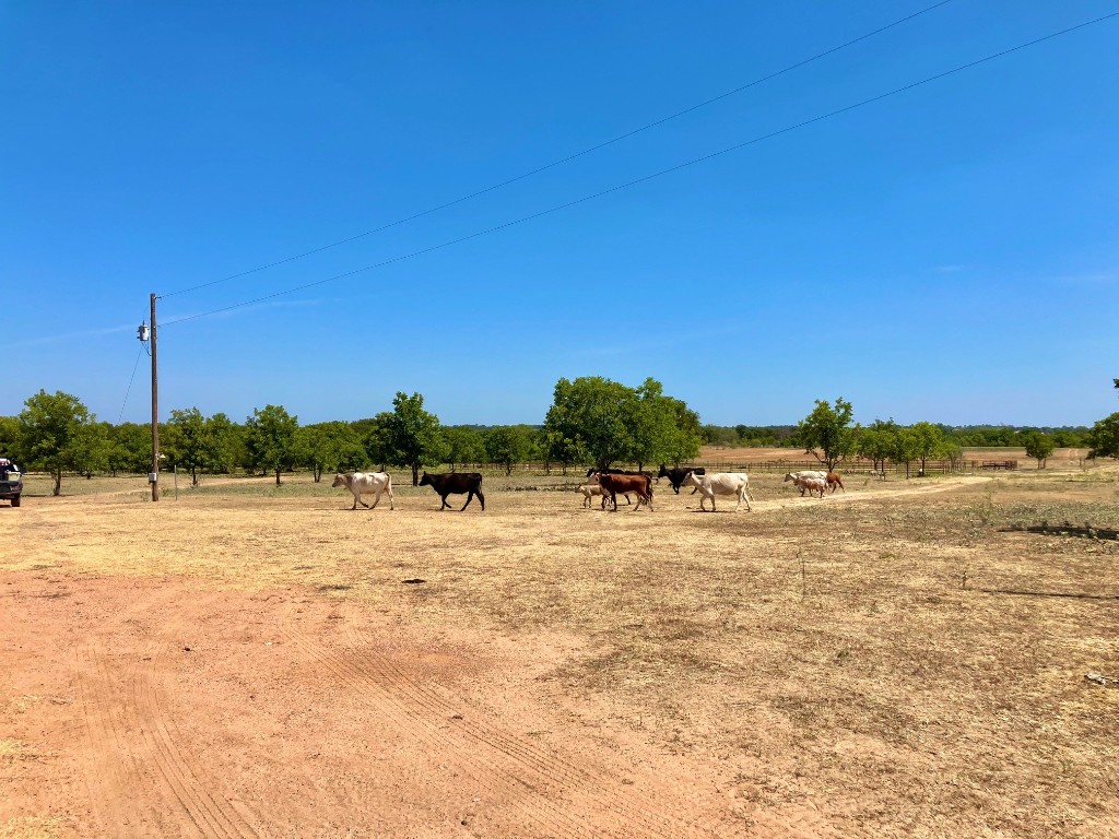 719 County Road 389 Gorman TX 76454