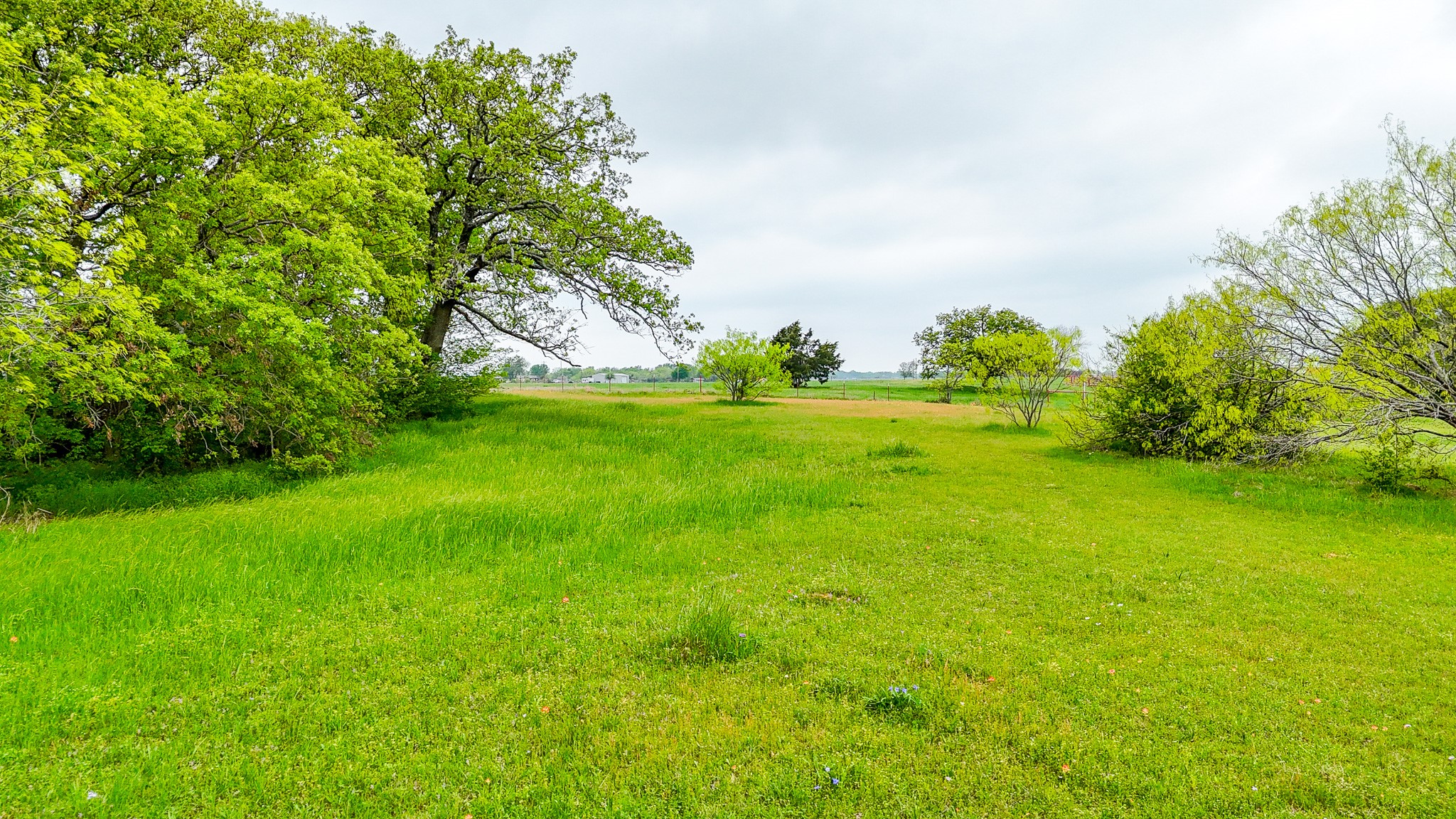 Lot 51 Vista Ridge Corsicana TX 75109