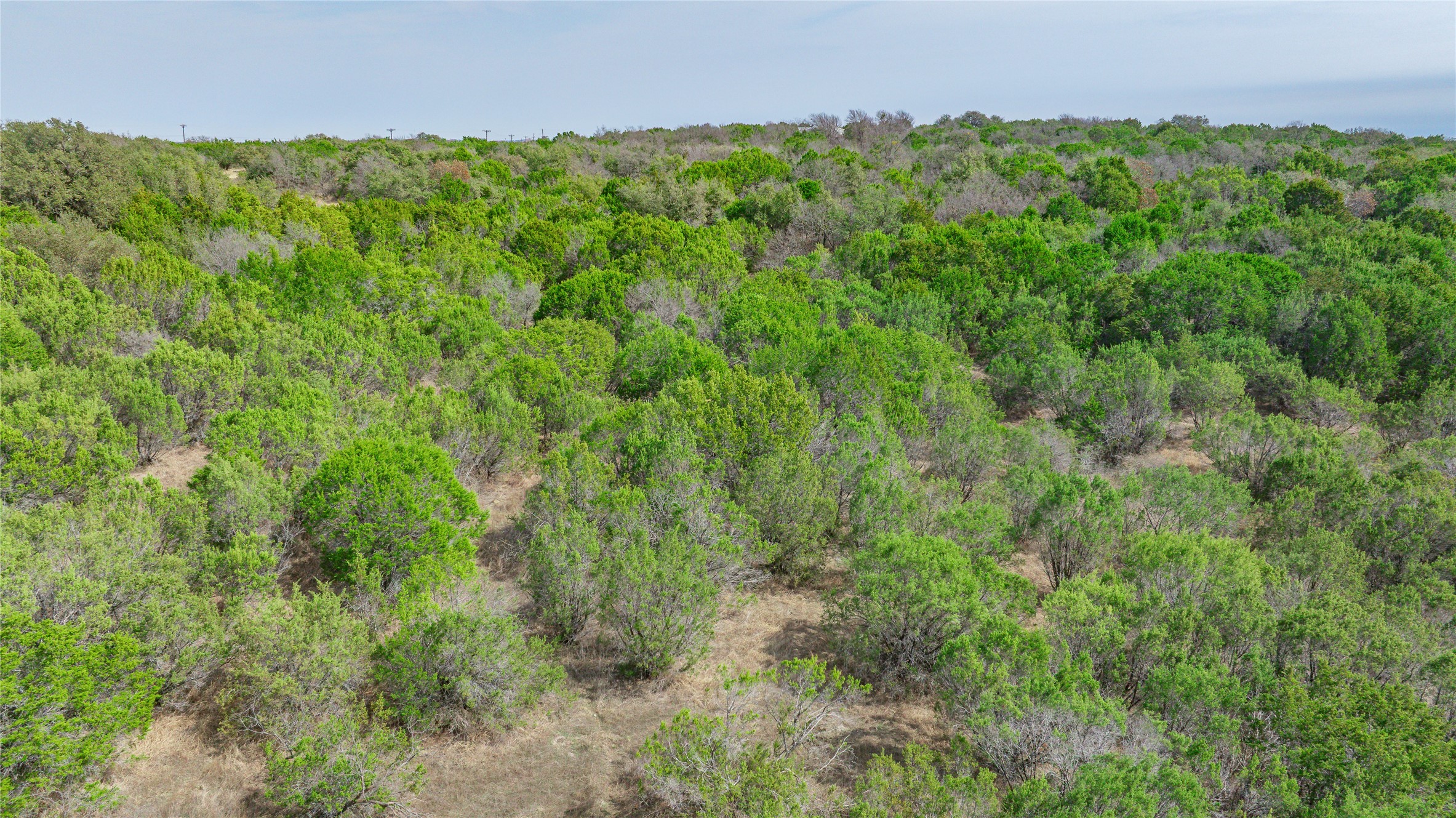 365 Schooner Way Bluff Dale TX 76433