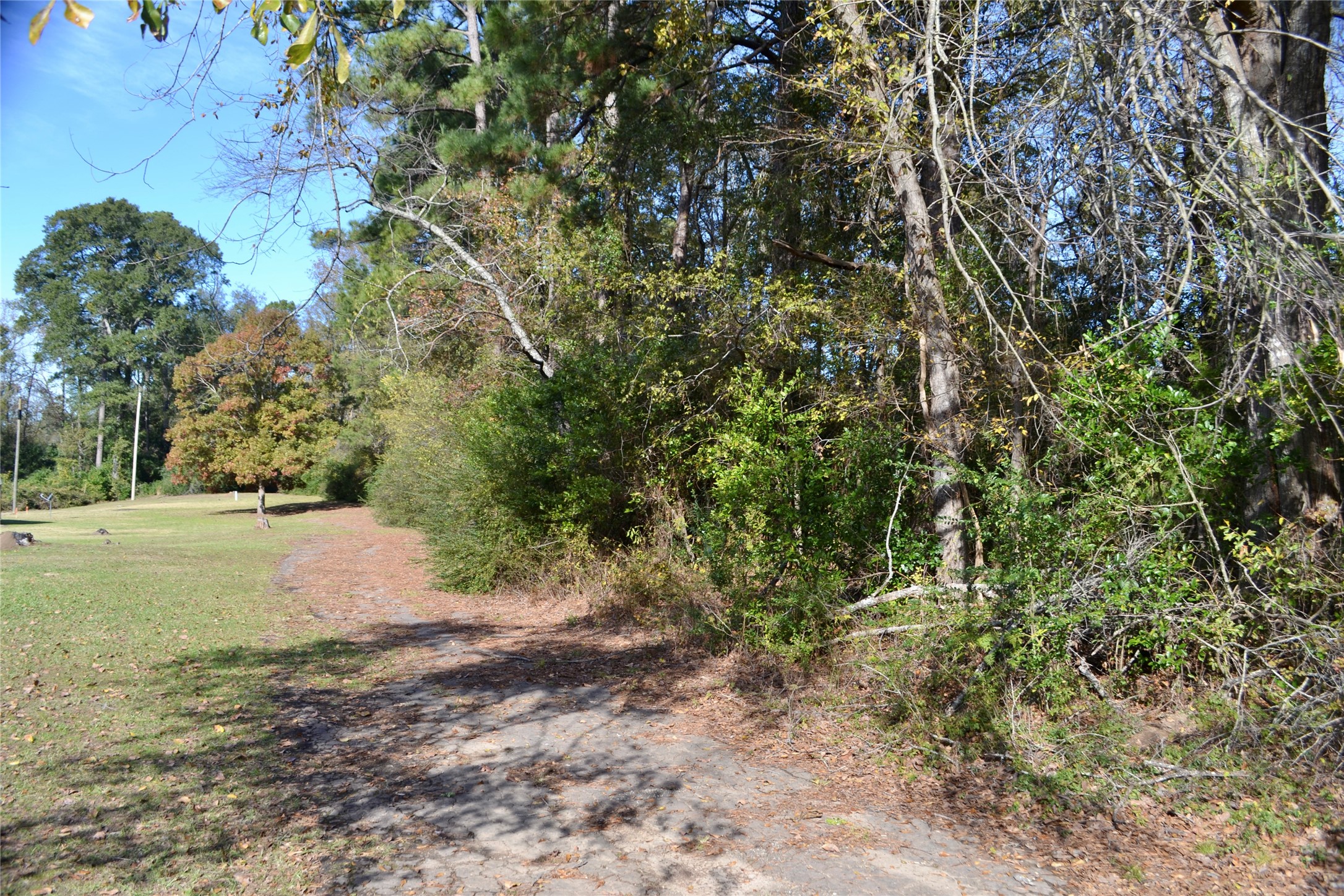 Tract #2 Long Street Waskom TX 75692