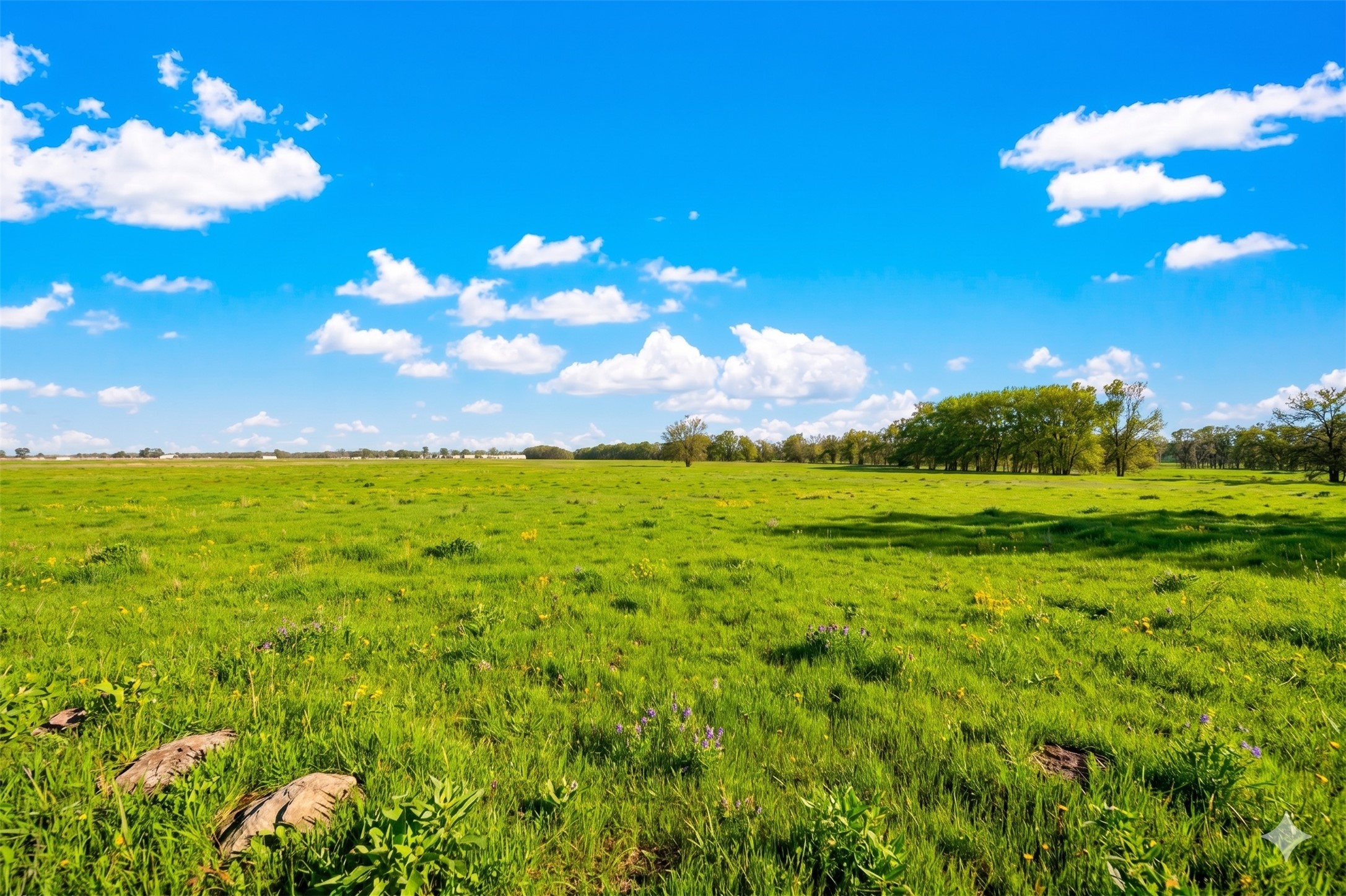 10.84 Acres Fm 1562 Celeste TX 75423