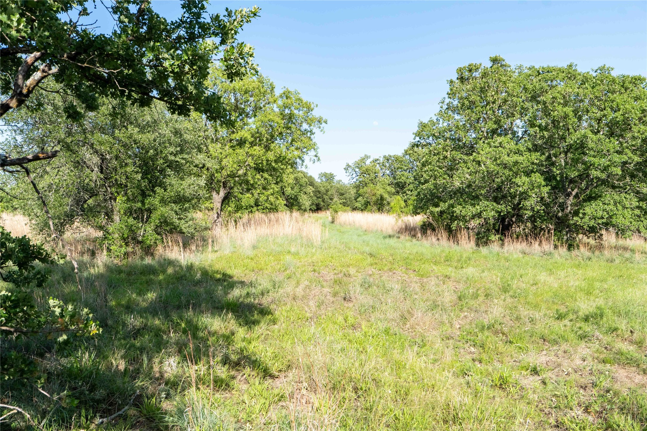53 Ac Cr 3757 Springtown TX 76082
