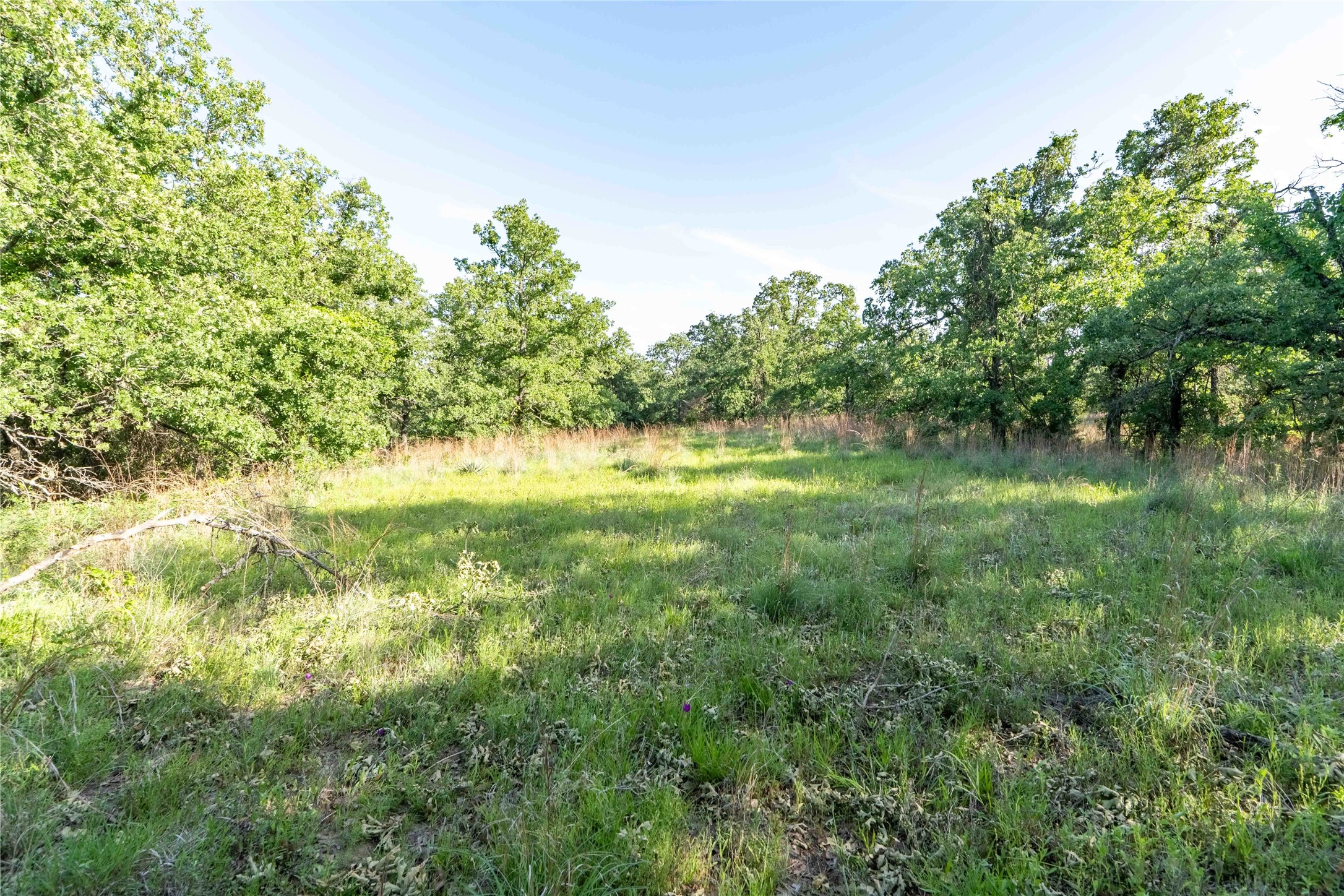 53 Ac Cr 3757 Springtown TX 76082