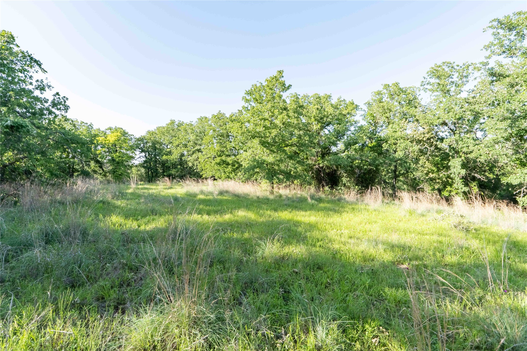 53 Ac Cr 3757 Springtown TX 76082