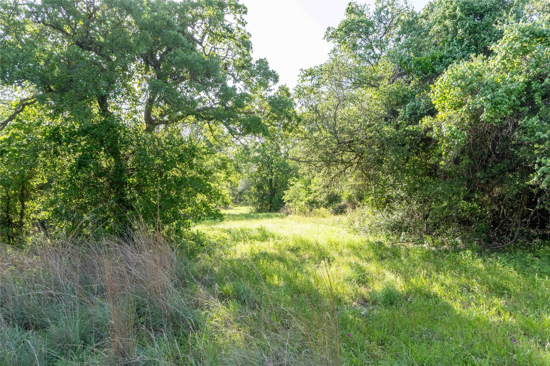 53 Ac Cr 3757 Springtown TX 76082