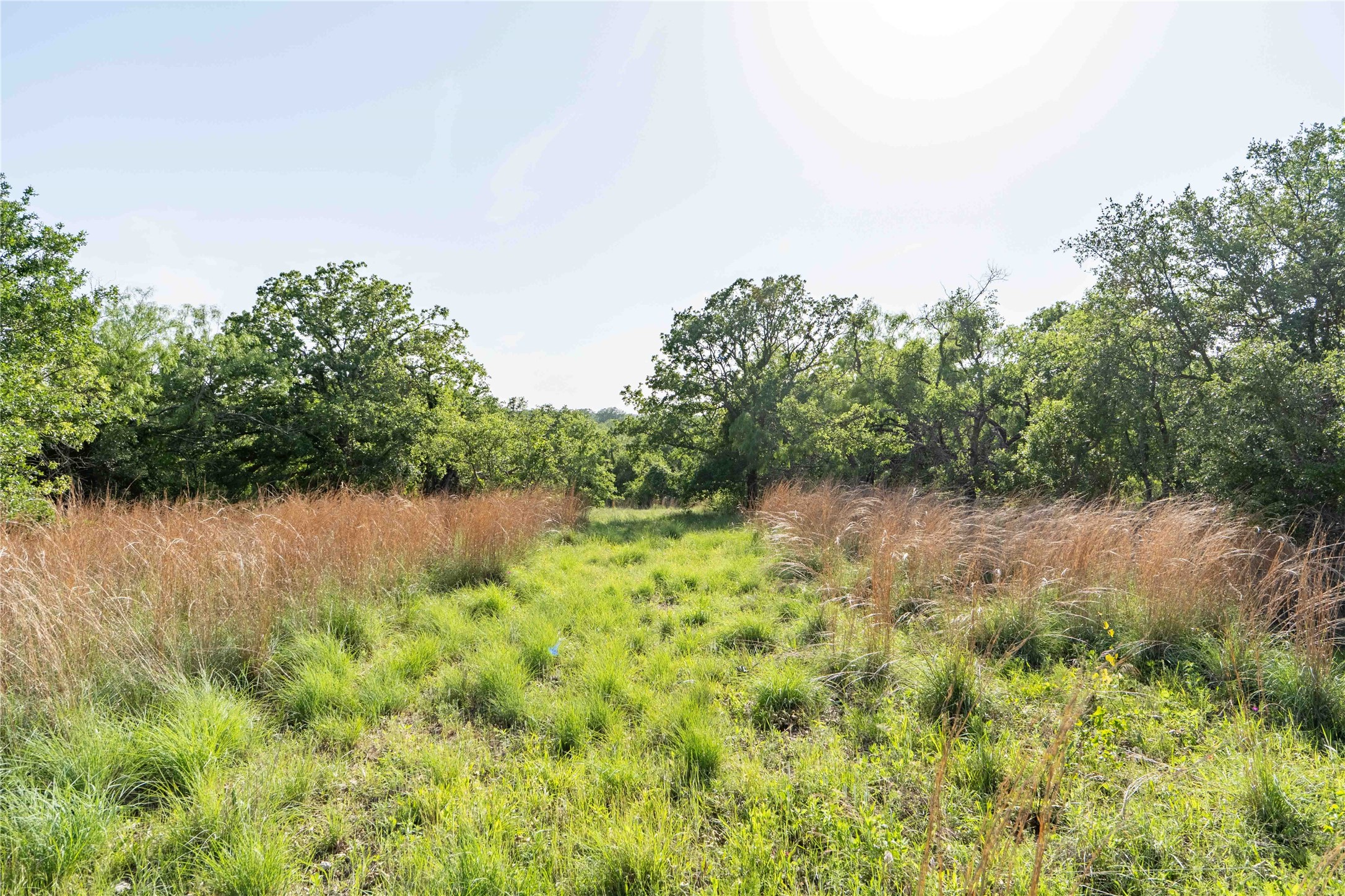 53 Ac Cr 3757 Springtown TX 76082