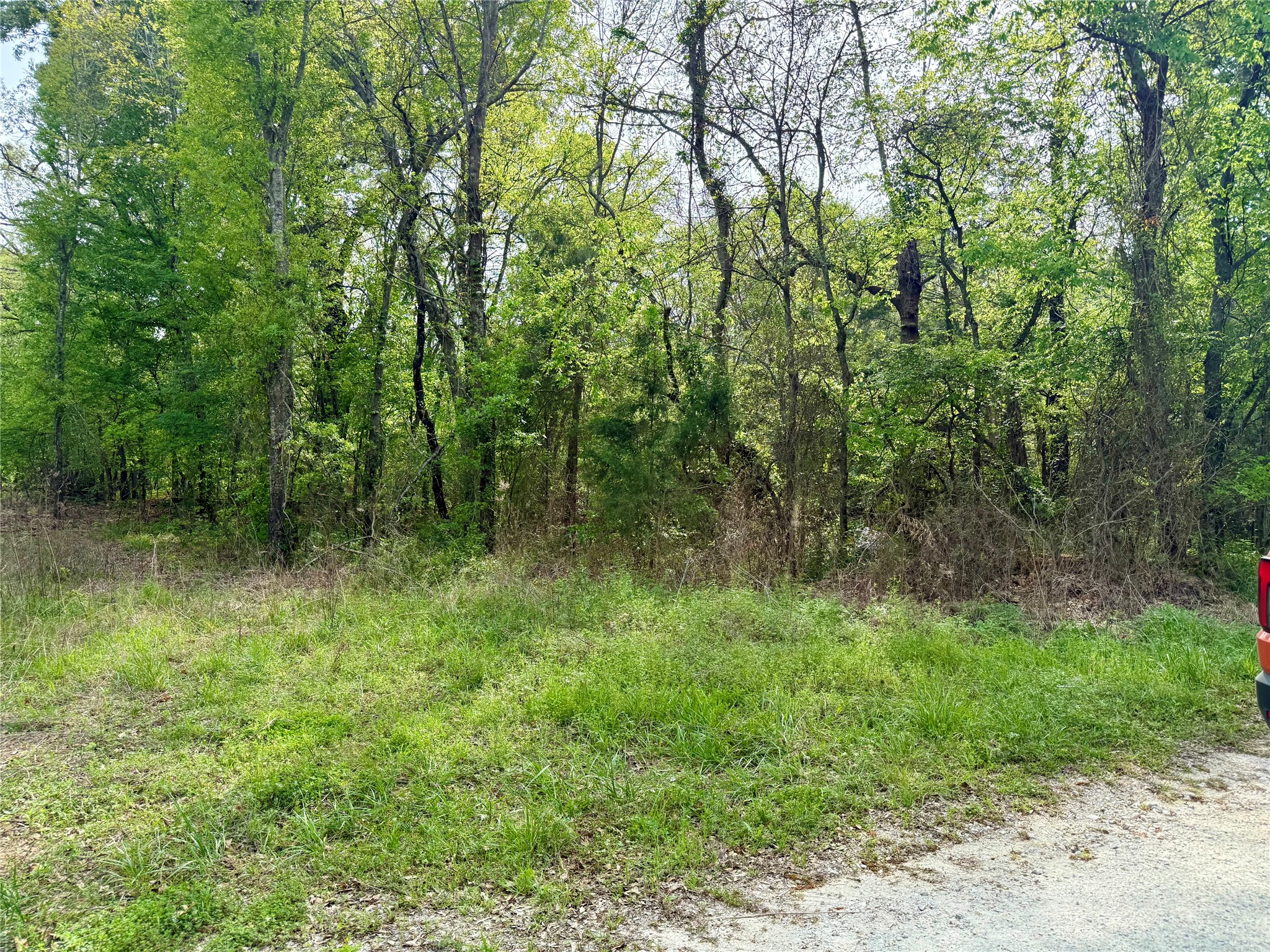 Tbd County Road 4131 Mount Vernon TX 75457
