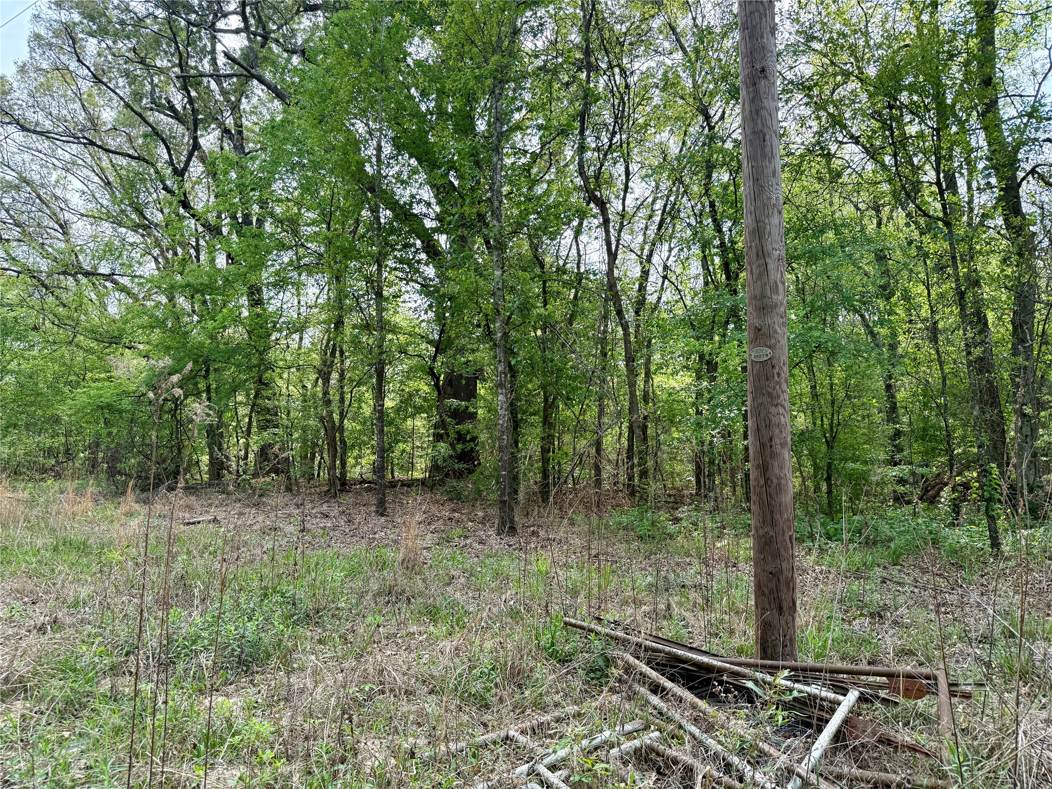 Tbd County Road 4131 Mount Vernon TX 75457