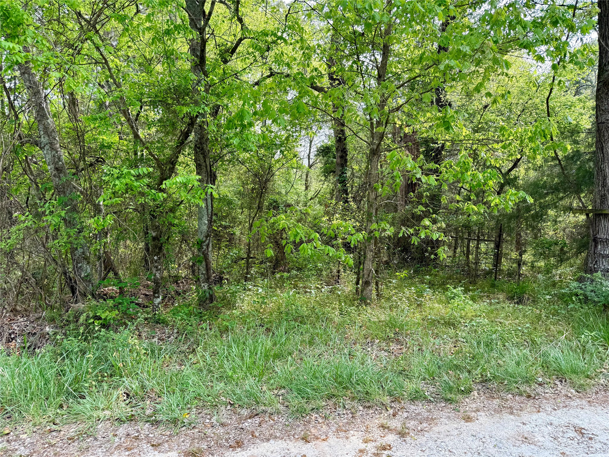 Tbd County Road 4131 Mount Vernon TX 75457