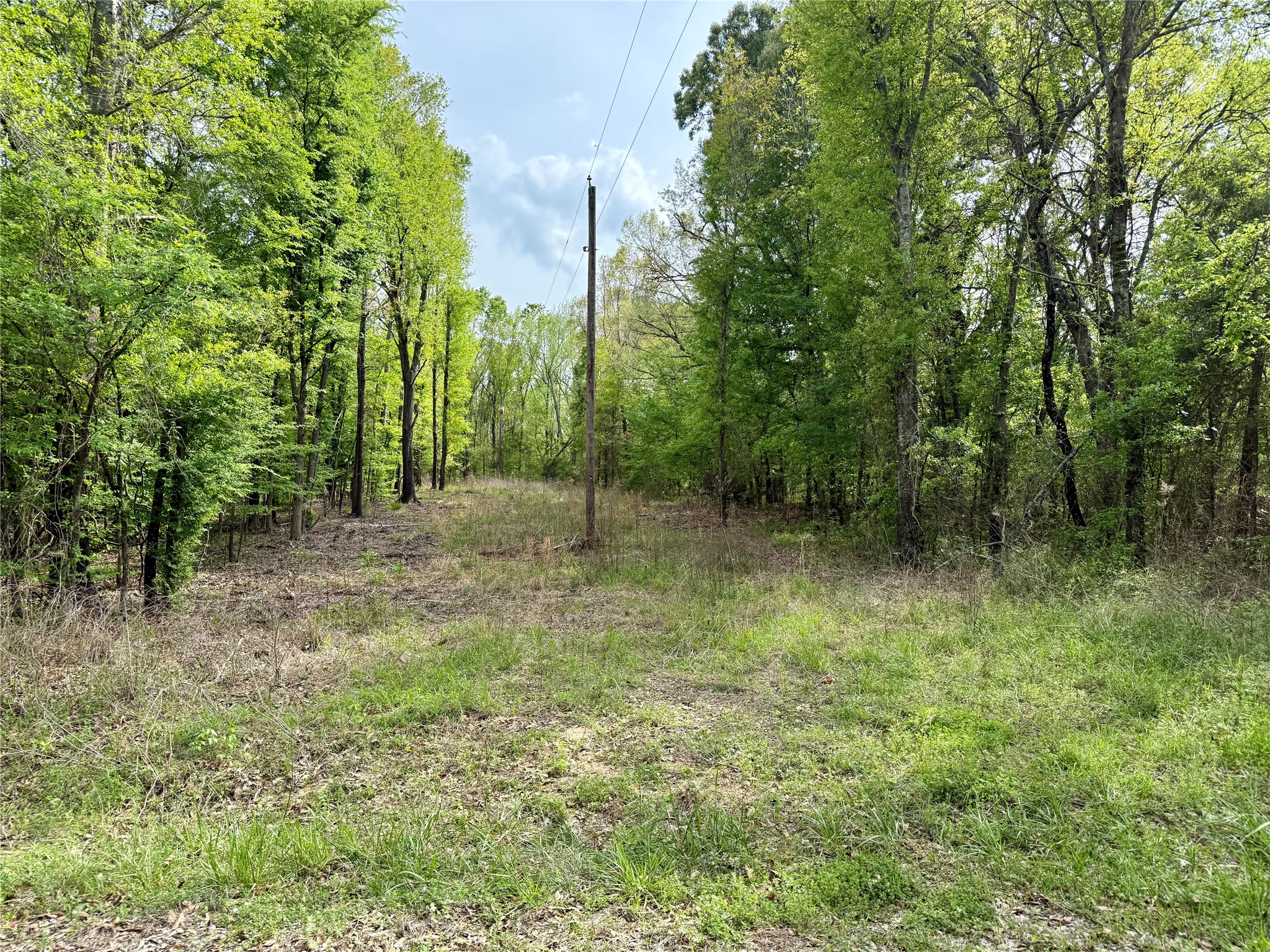 Tbd County Road 4131 Mount Vernon TX 75457