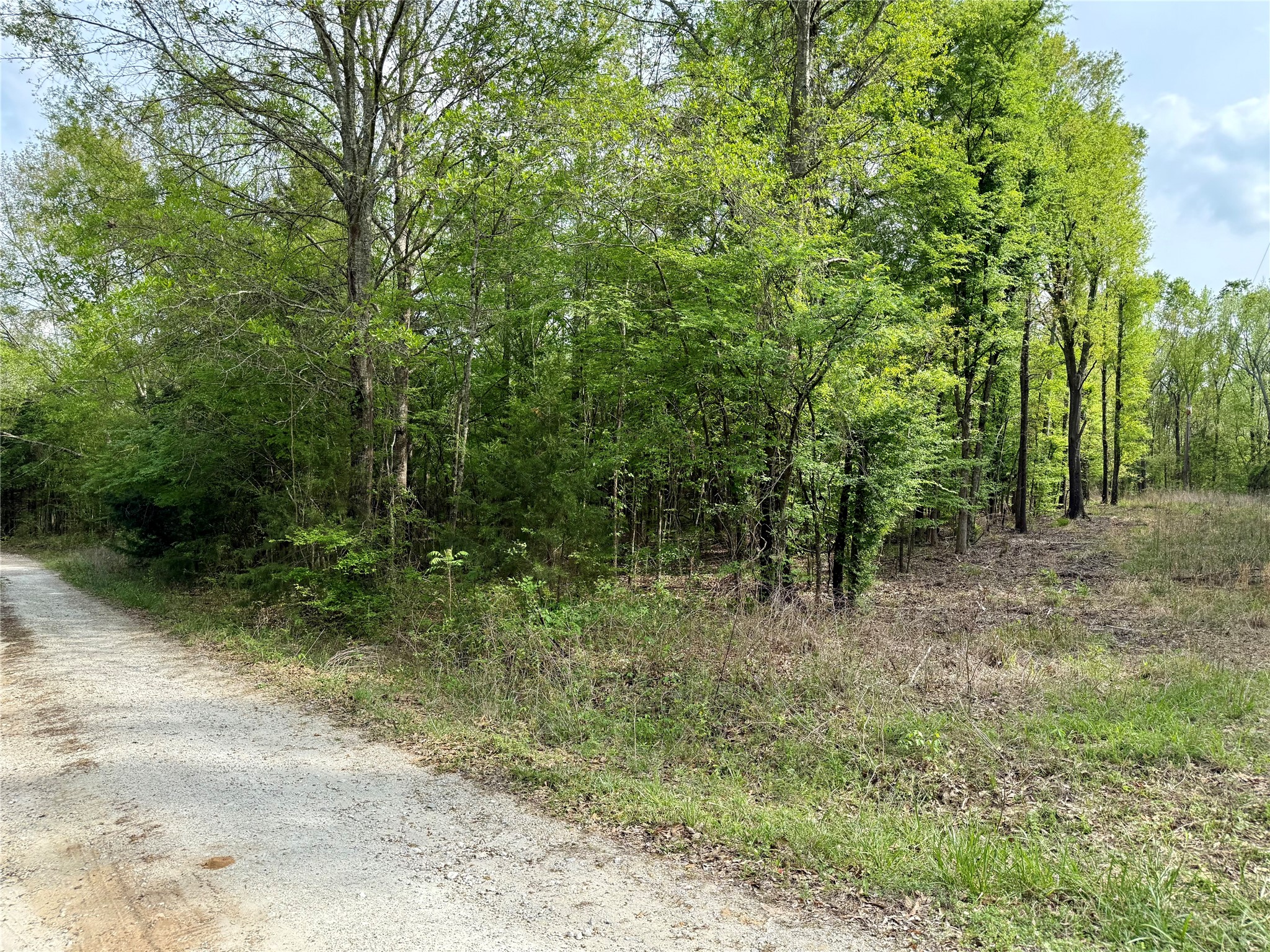 Tbd County Road 4131 Mount Vernon TX 75457
