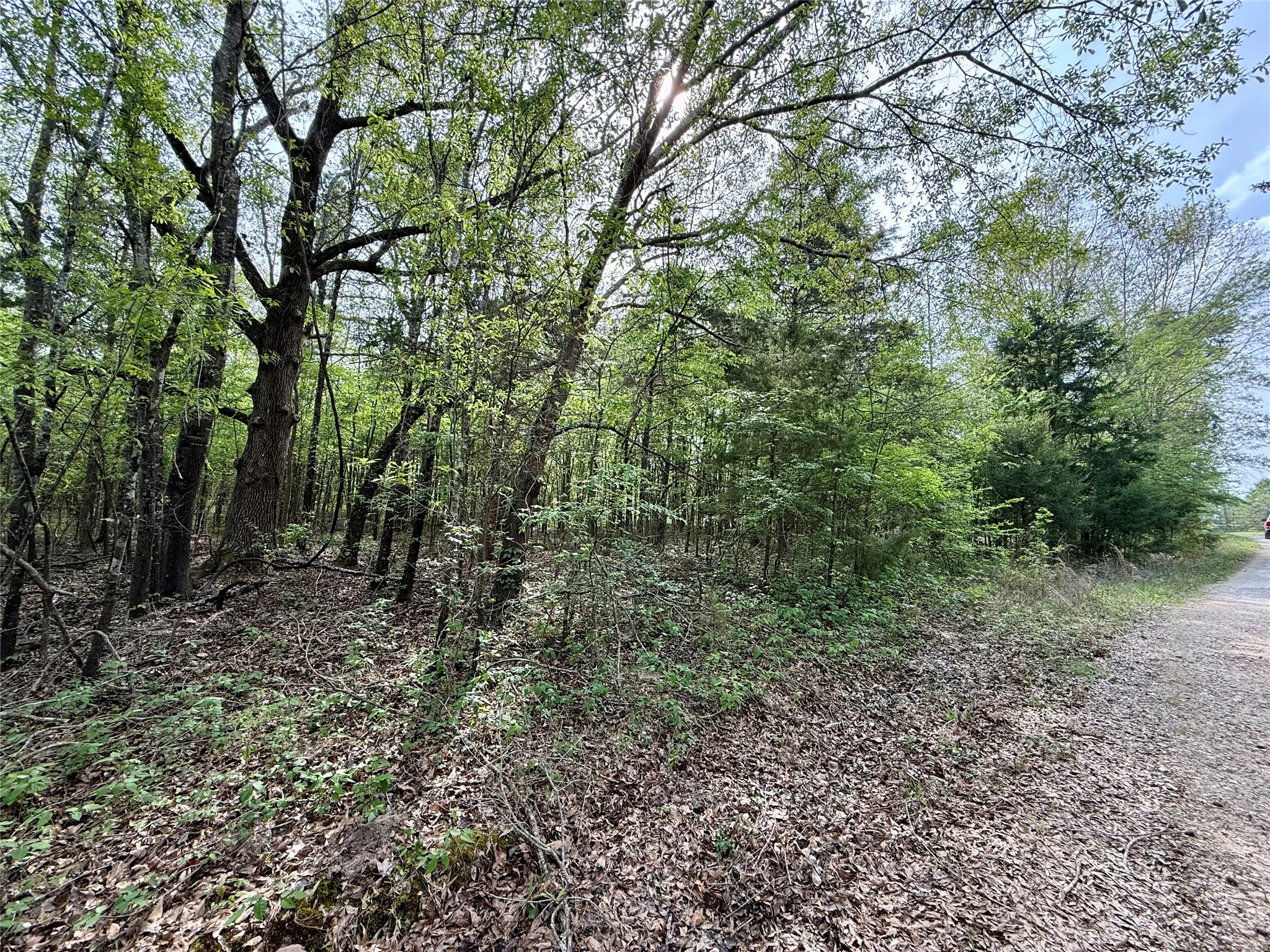 Tbd County Road 4131 Mount Vernon TX 75457
