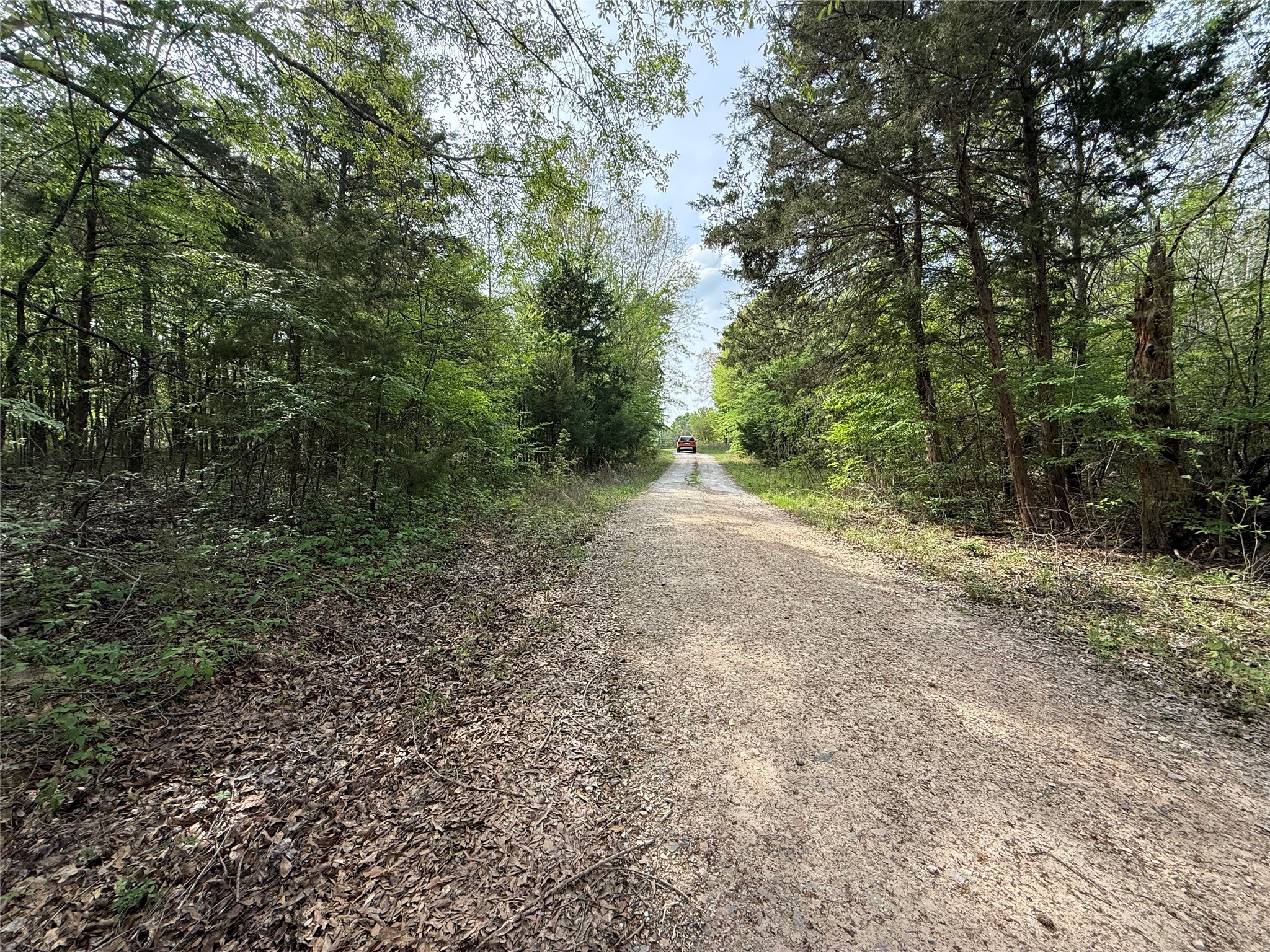 Tbd County Road 4131 Mount Vernon TX 75457