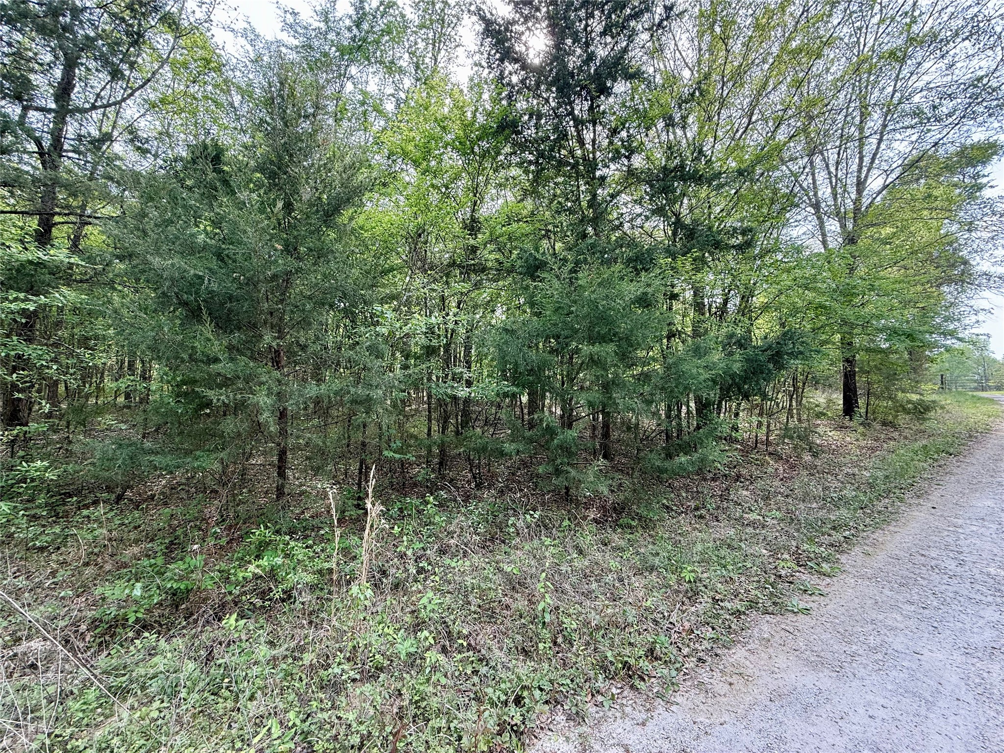 Tbd County Road 4131 Mount Vernon TX 75457