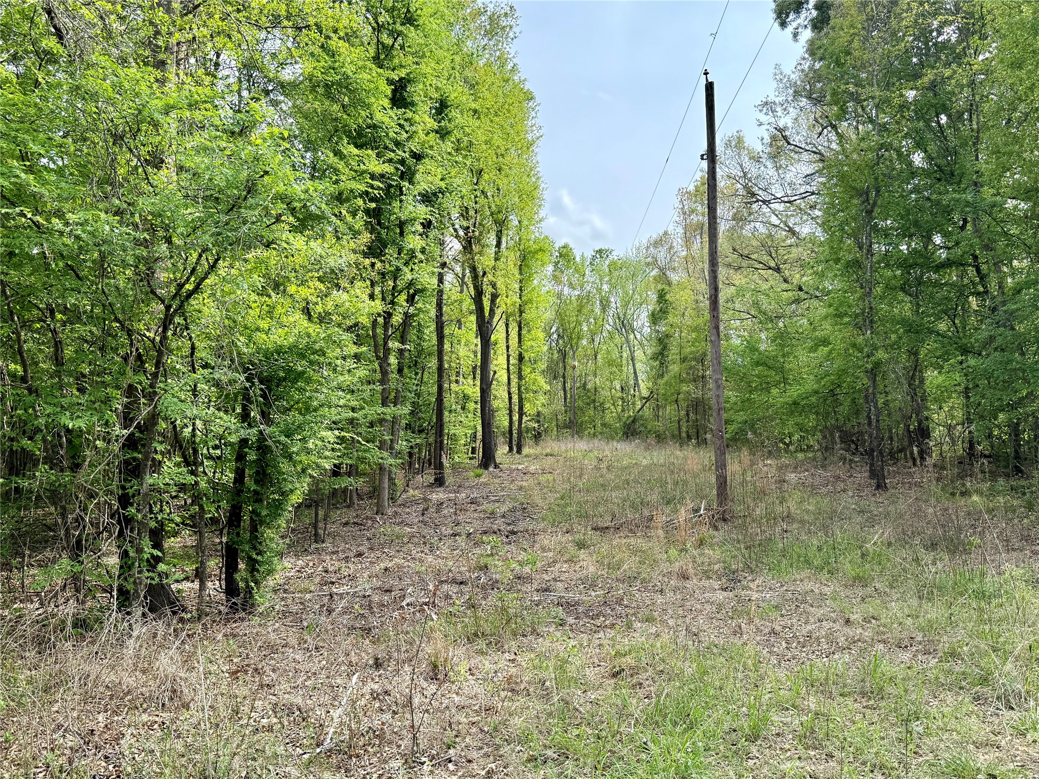 Tbd County Road 4131 Mount Vernon TX 75457
