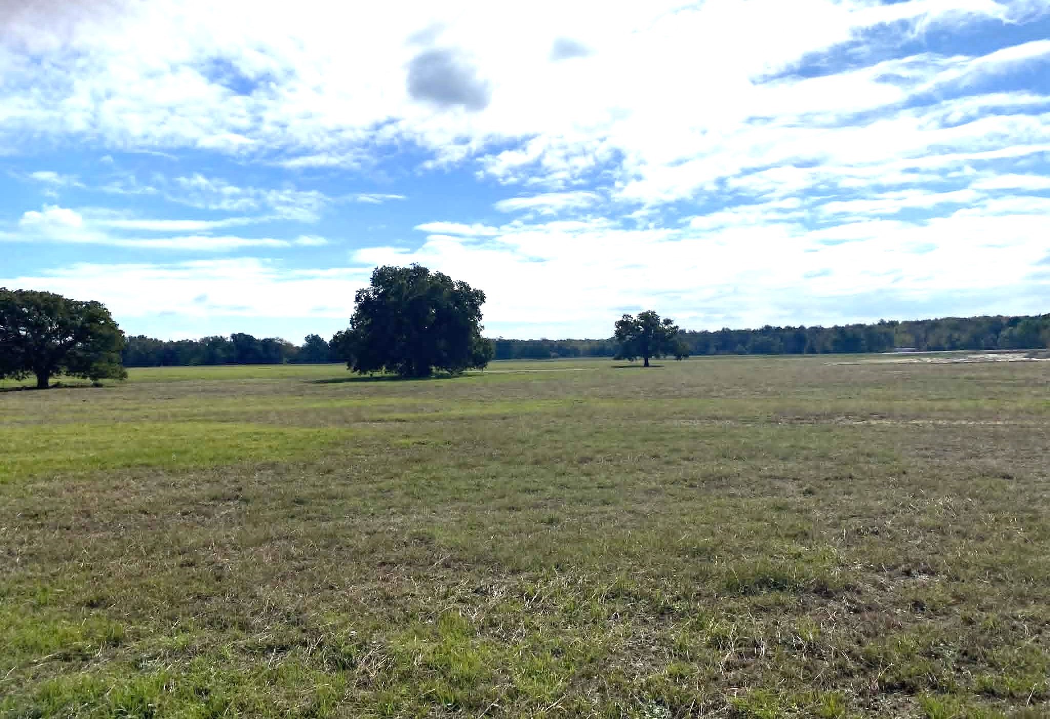 287 County Road 269 Kosse TX 76653
