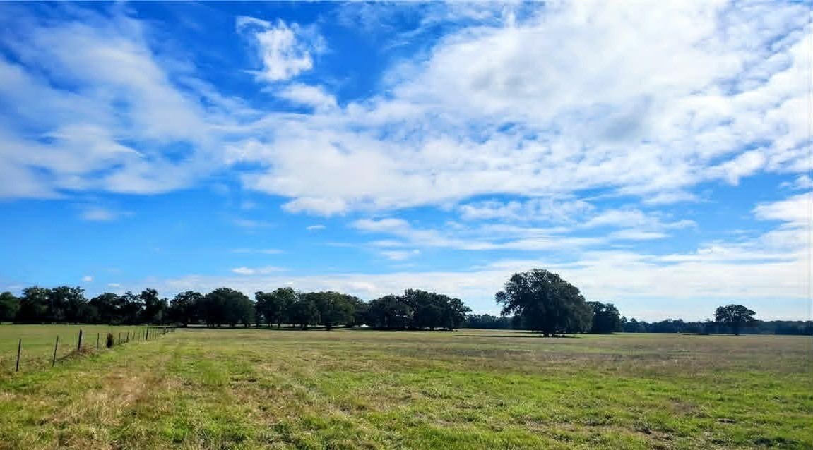 287 County Road 269 Kosse TX 76653