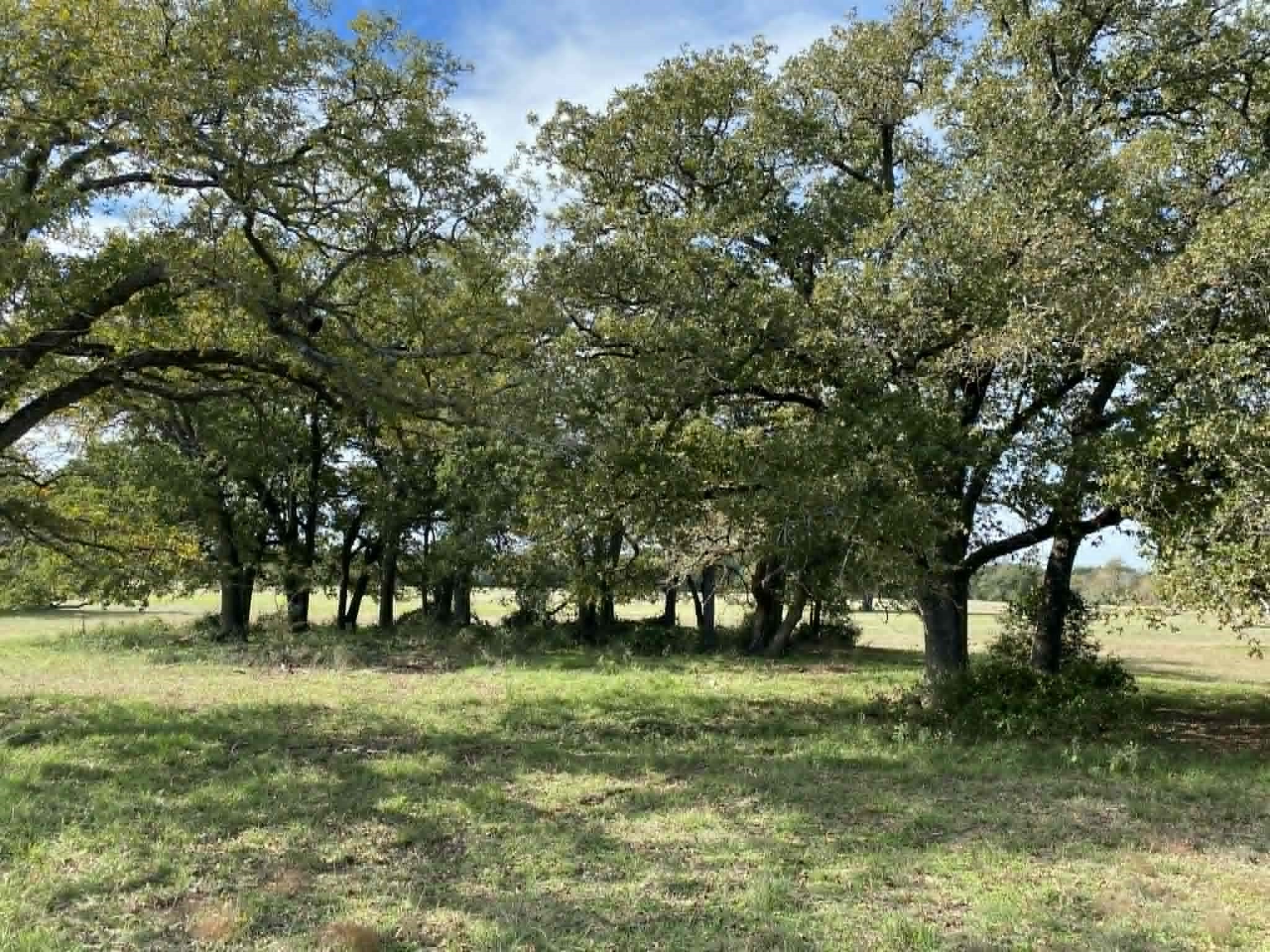 287 County Road 269 Kosse TX 76653