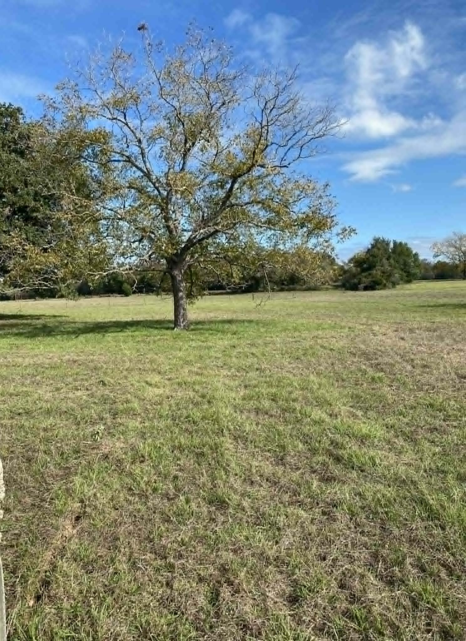 287 County Road 269 Kosse TX 76653