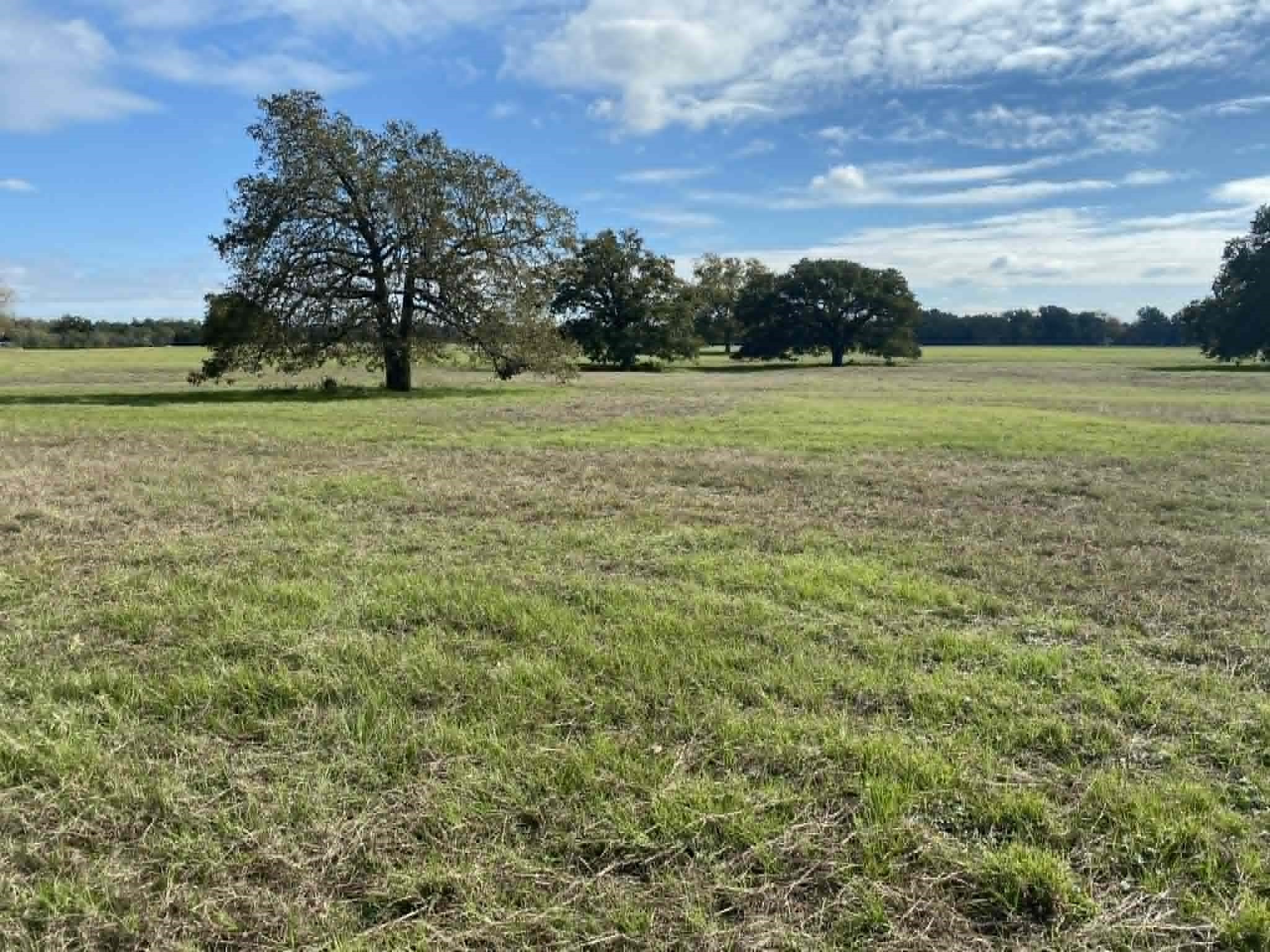 287 County Road 269 Kosse TX 76653