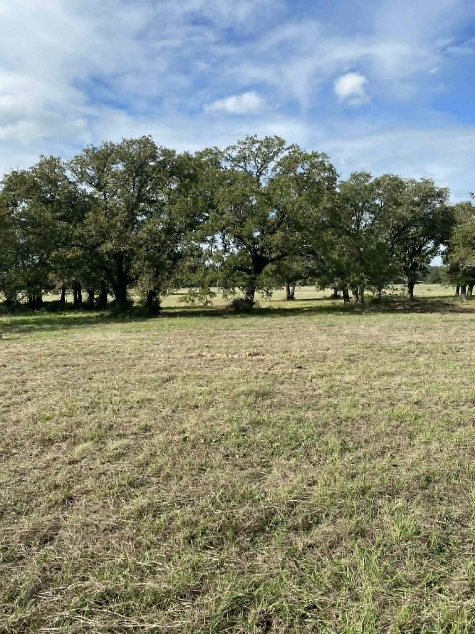 287 County Road 269 Kosse TX 76653