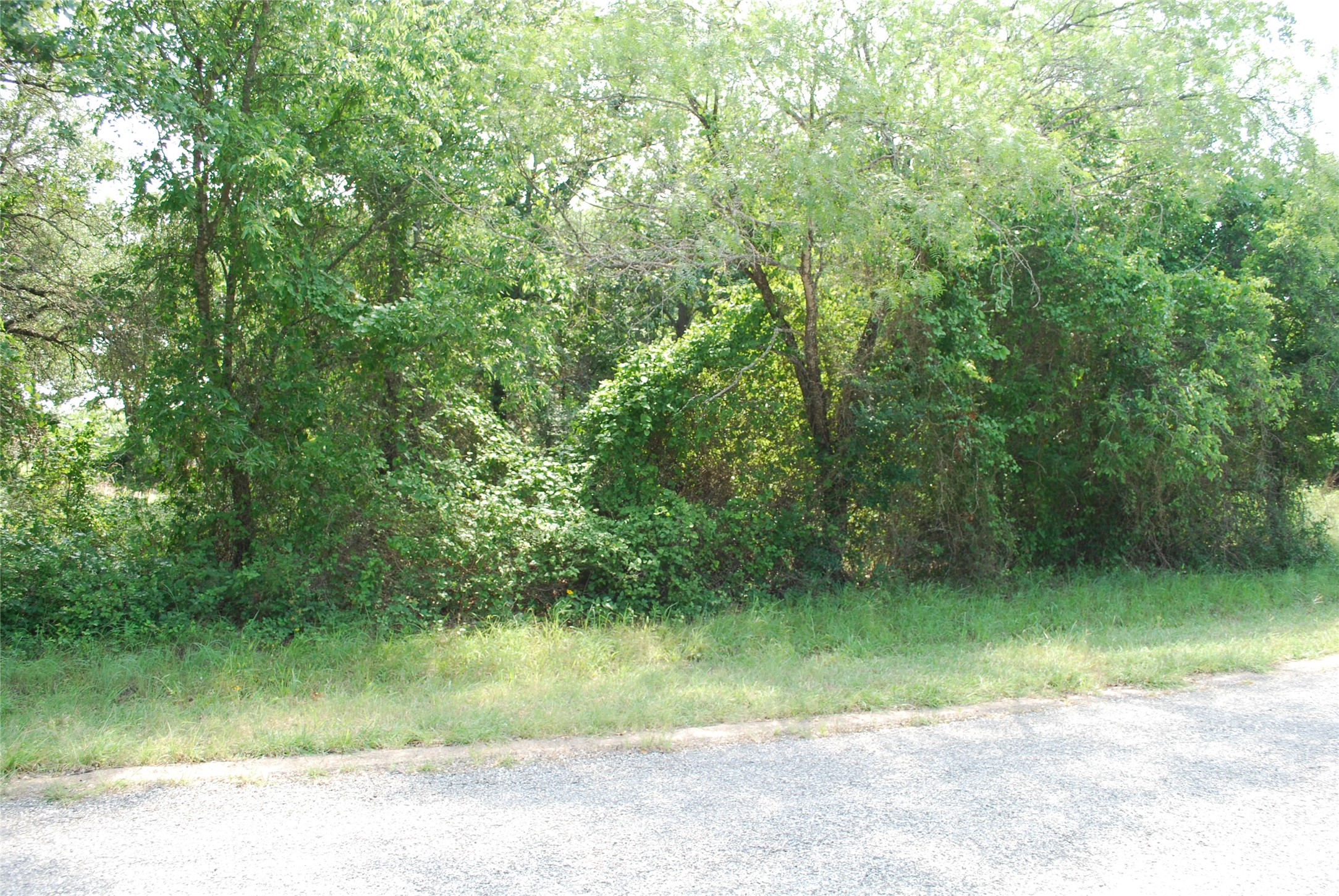 27183 Whispering Meadow Drive Whitney TX 76692