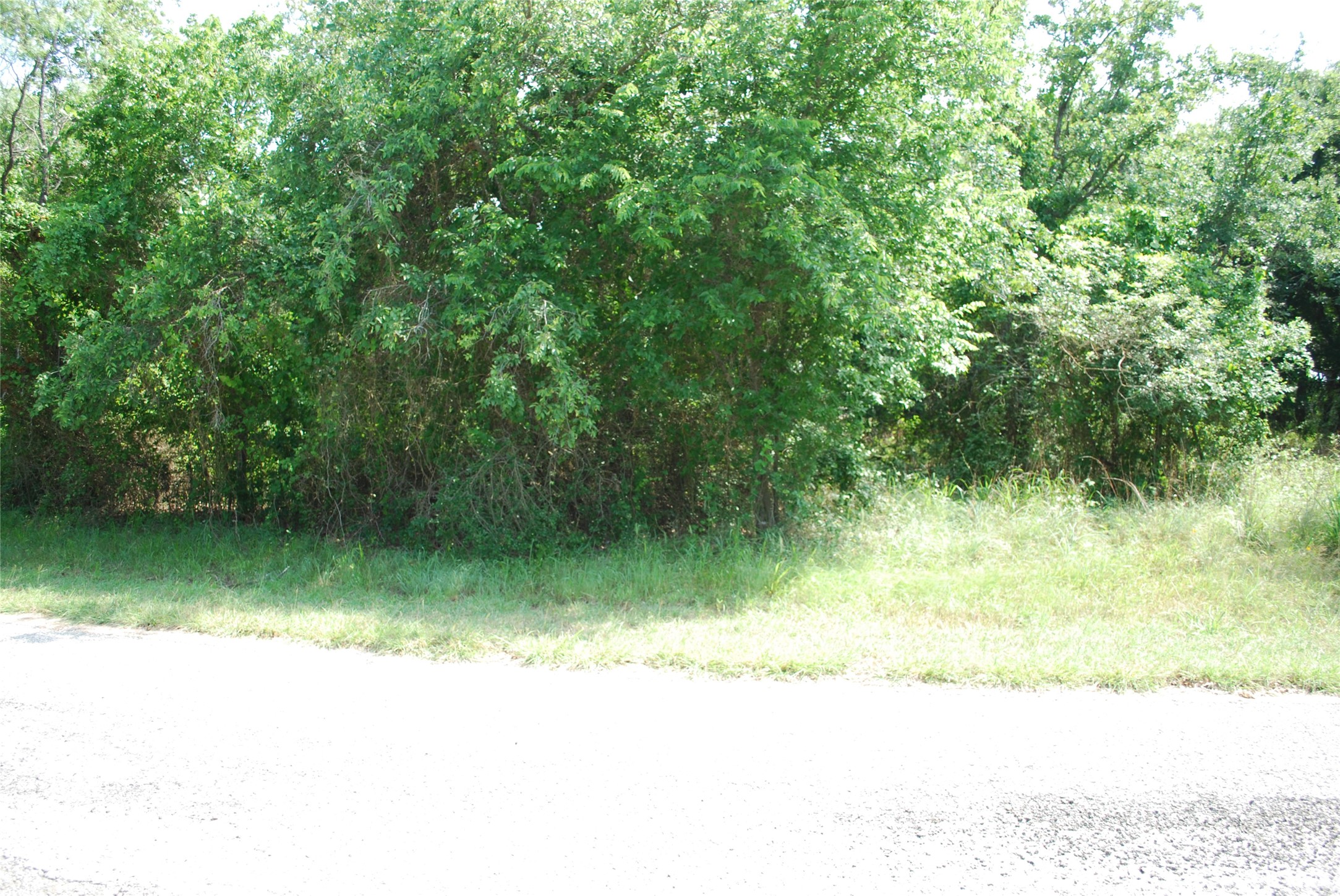 27183 Whispering Meadow Drive Whitney TX 76692