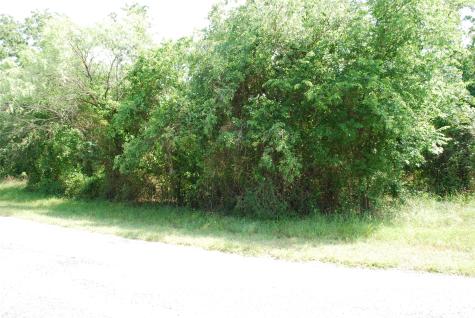 27183 Whispering Meadow Drive Whitney TX 76692