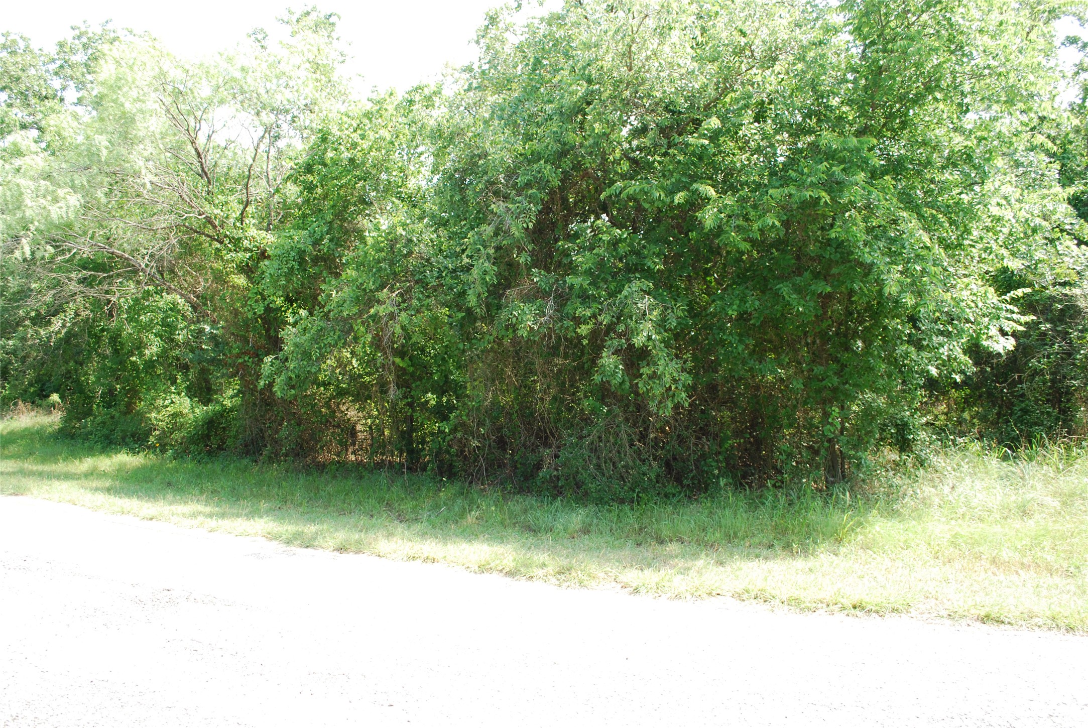 27183 Whispering Meadow Drive Whitney TX 76692