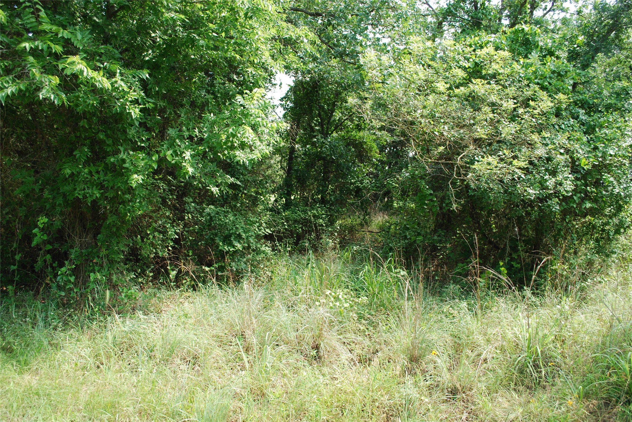 27183 Whispering Meadow Drive Whitney TX 76692