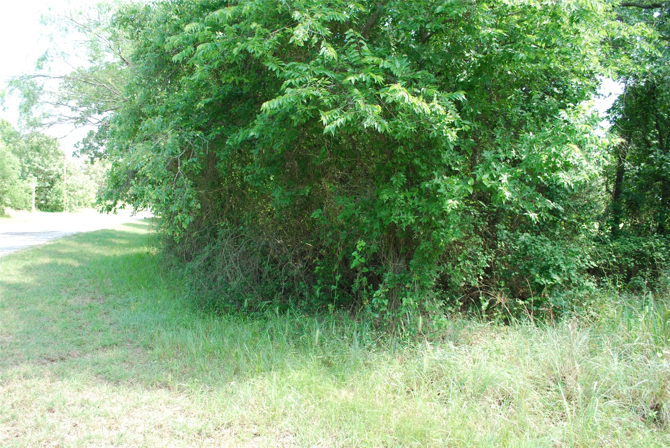 27183 Whispering Meadow Drive Whitney TX 76692