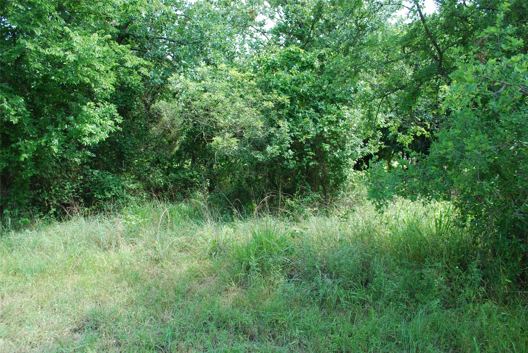 27183 Whispering Meadow Drive Whitney TX 76692