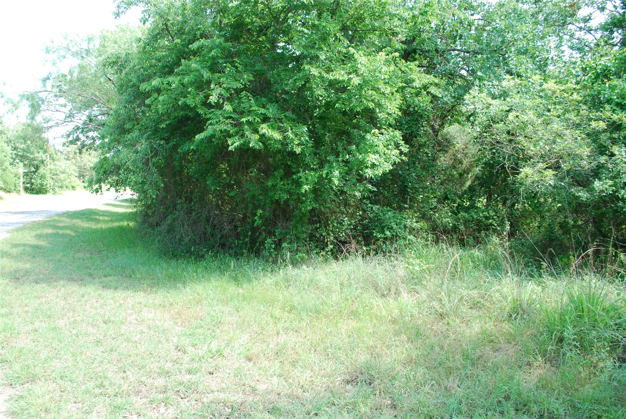 27183 Whispering Meadow Drive Whitney TX 76692