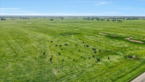 Tbd 123.57 Acres Rock Creek Road Gordonville TX 76245
