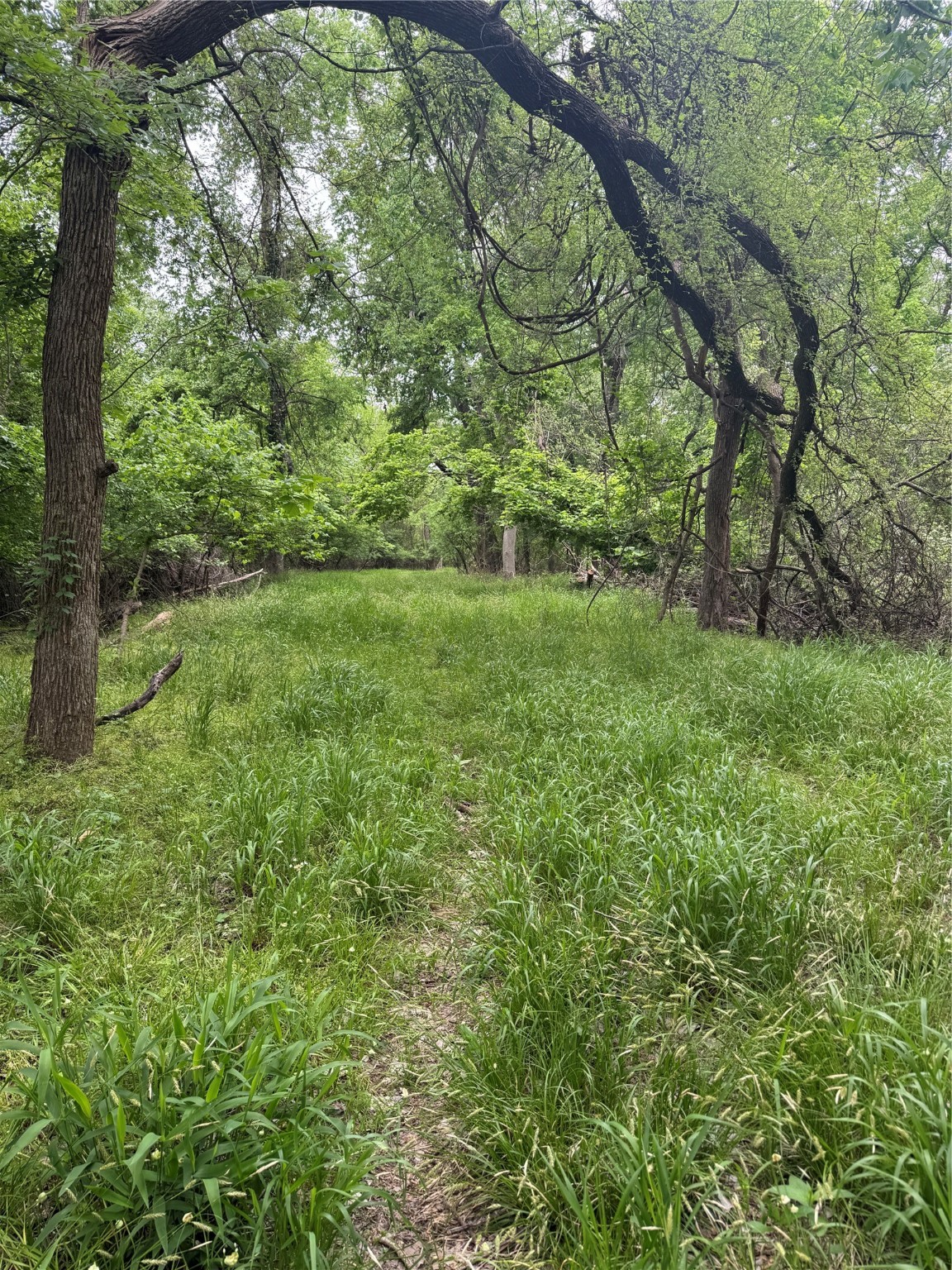 000 County Road 4757 Boyd TX 76023
