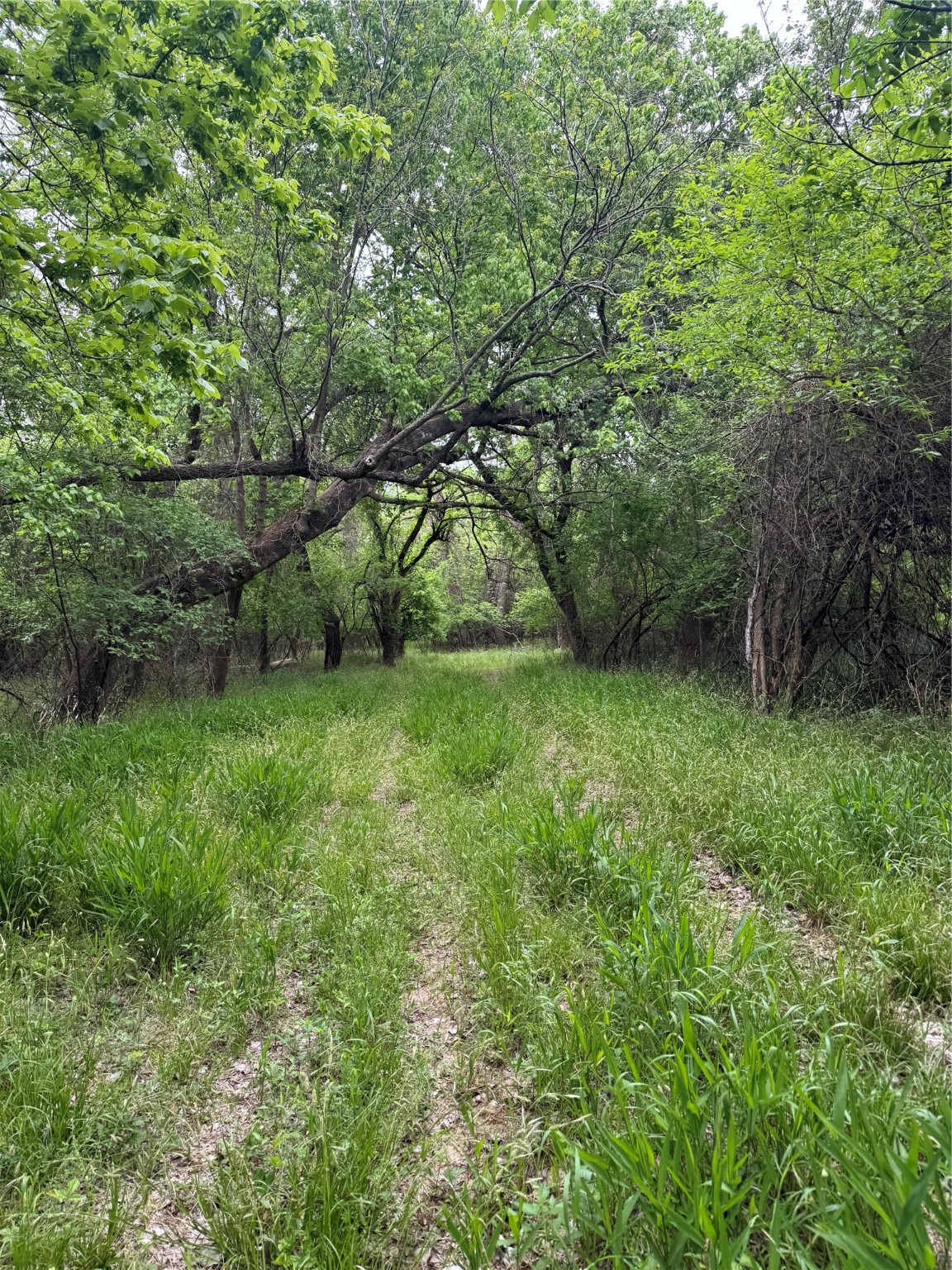 000 County Road 4757 Boyd TX 76023