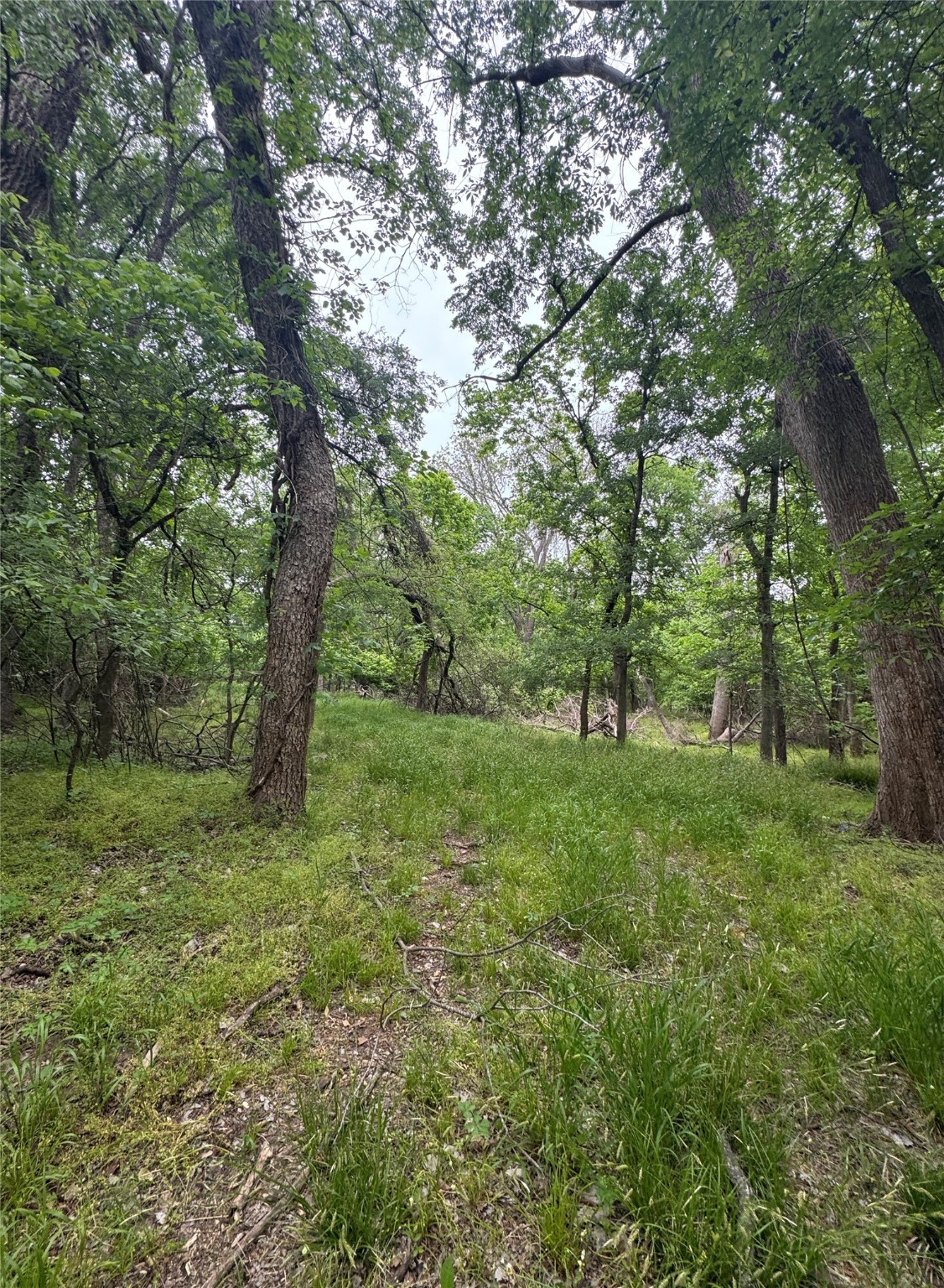 000 County Road 4757 Boyd TX 76023