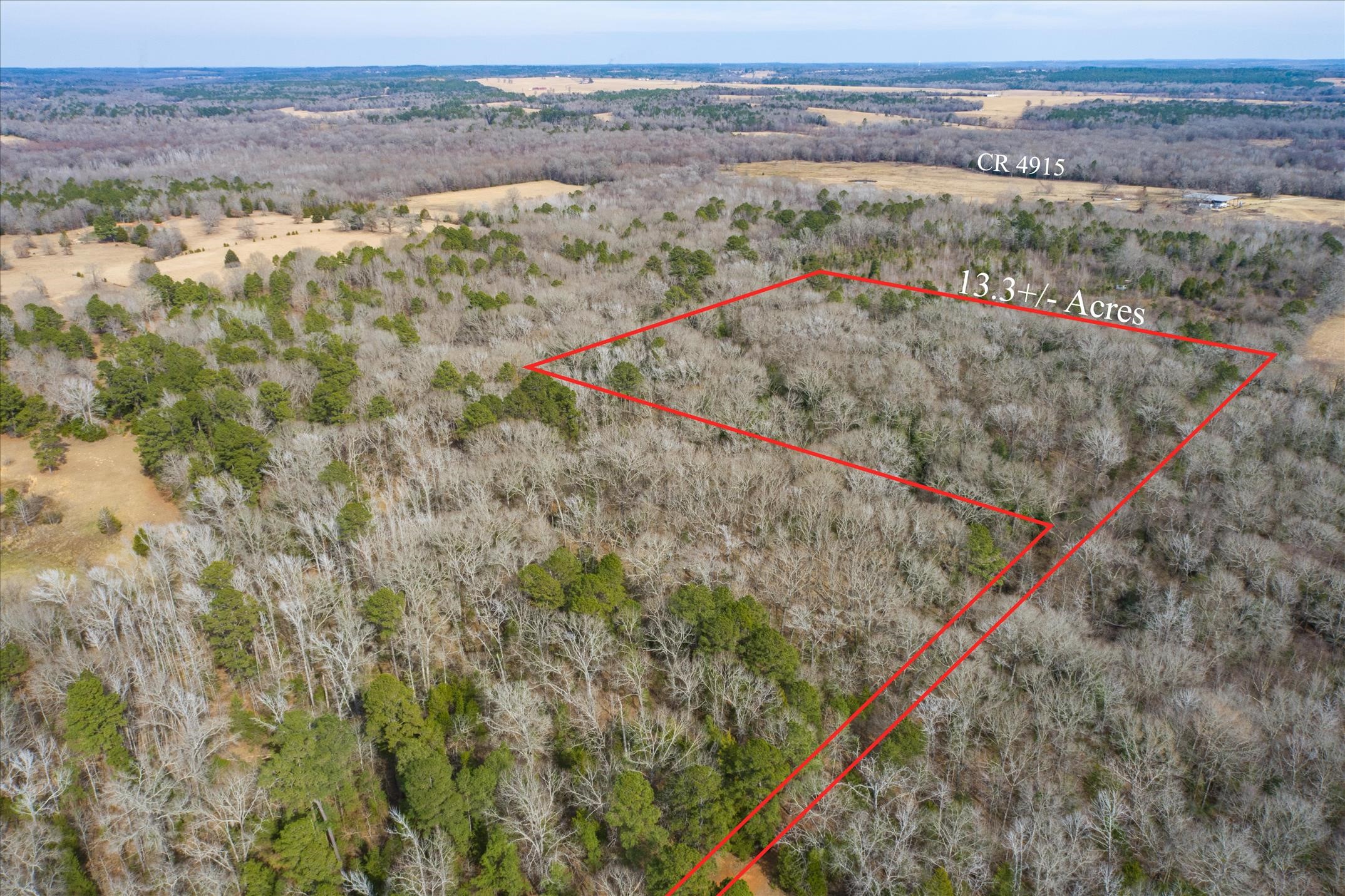 Tbd County Road 4917 Ben Wheeler TX 75754