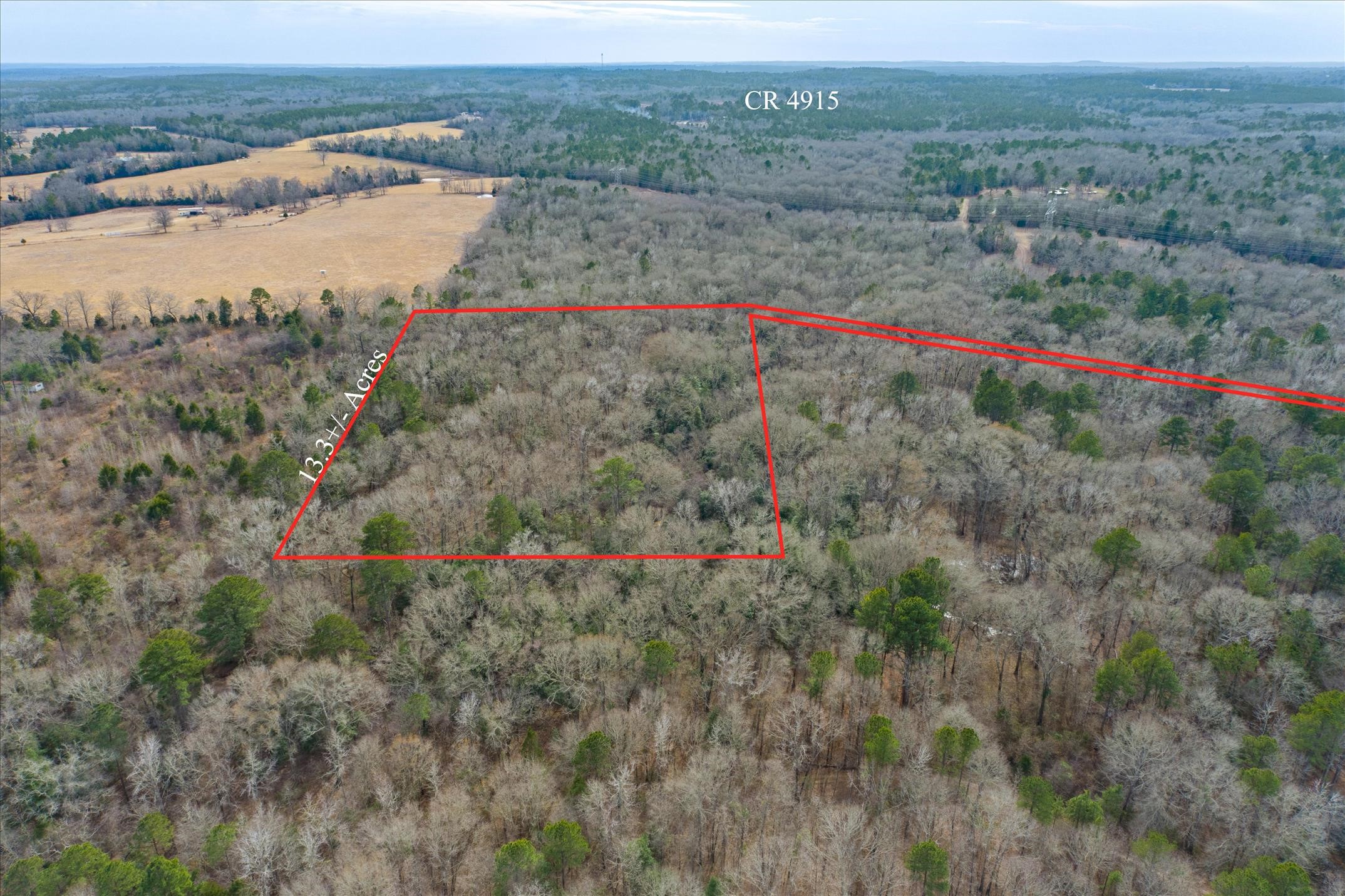 Tbd County Road 4917 Ben Wheeler TX 75754
