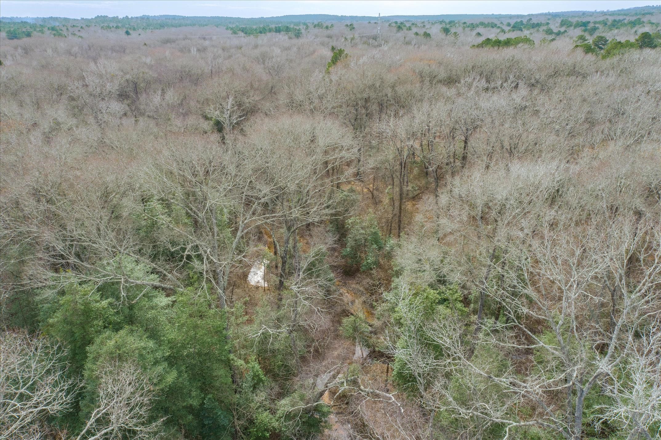 Tbd County Road 4917 Ben Wheeler TX 75754