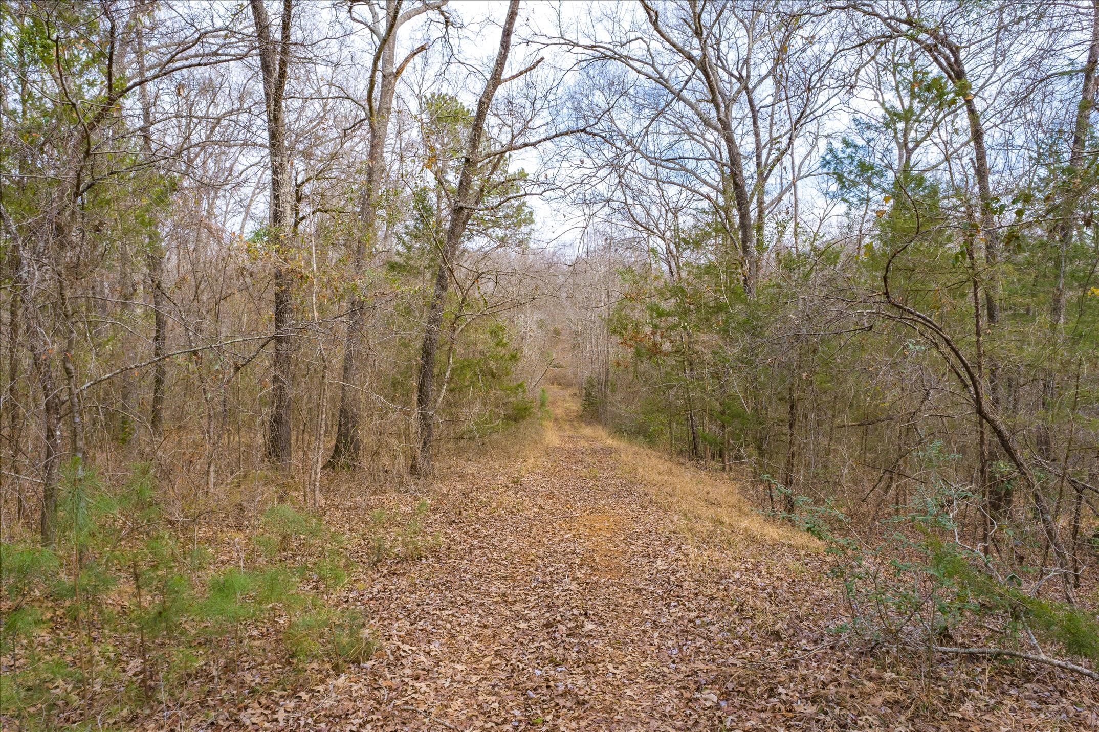 Tbd County Road 4917 Ben Wheeler TX 75754