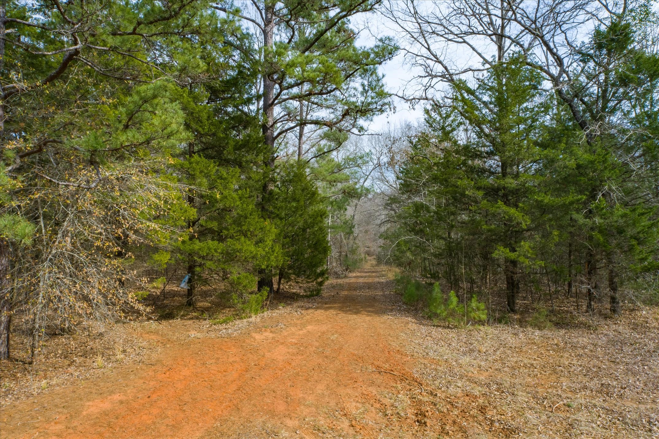 Tbd County Road 4917 Ben Wheeler TX 75754
