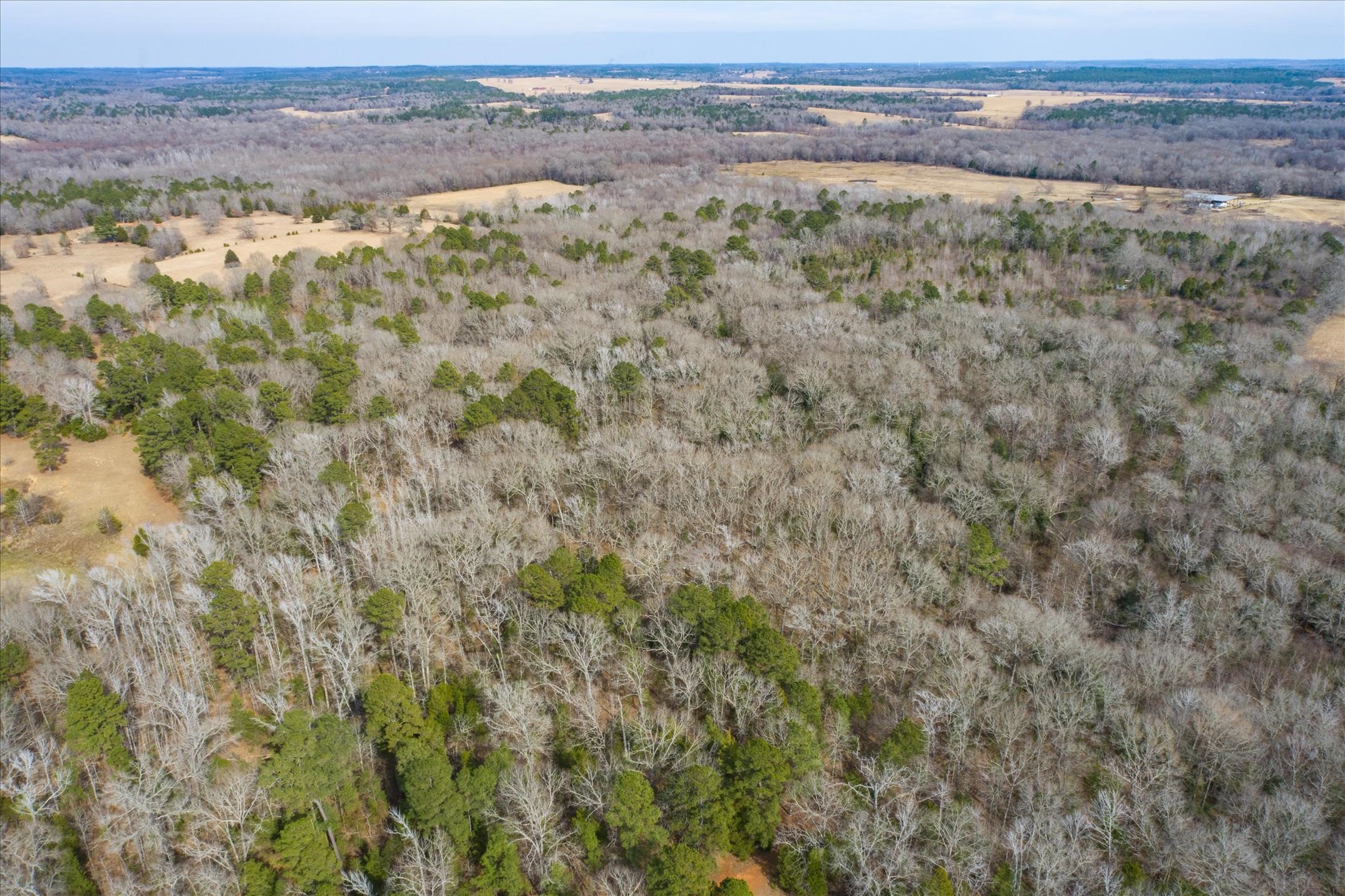 Tbd County Road 4917 Ben Wheeler TX 75754